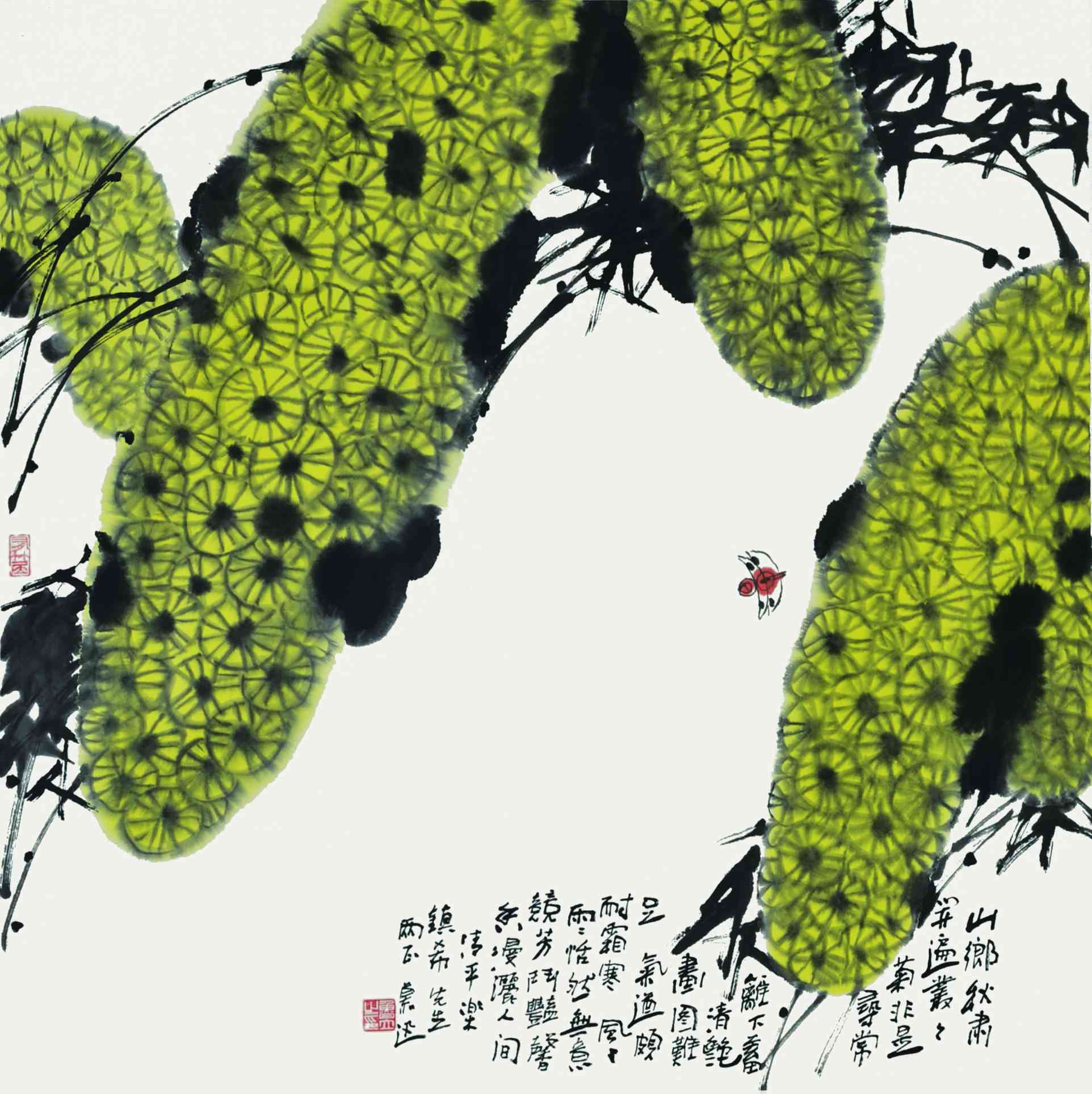 鲁慕迅花鸟