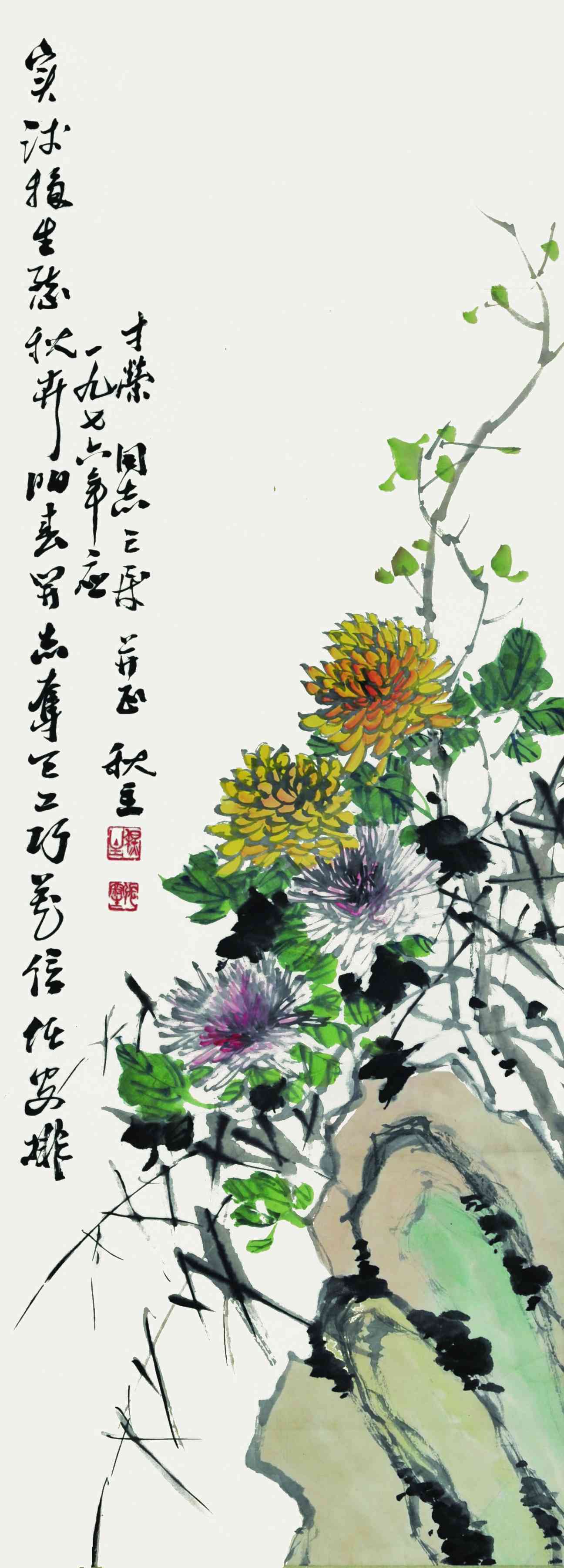 张秋主	菊石图
