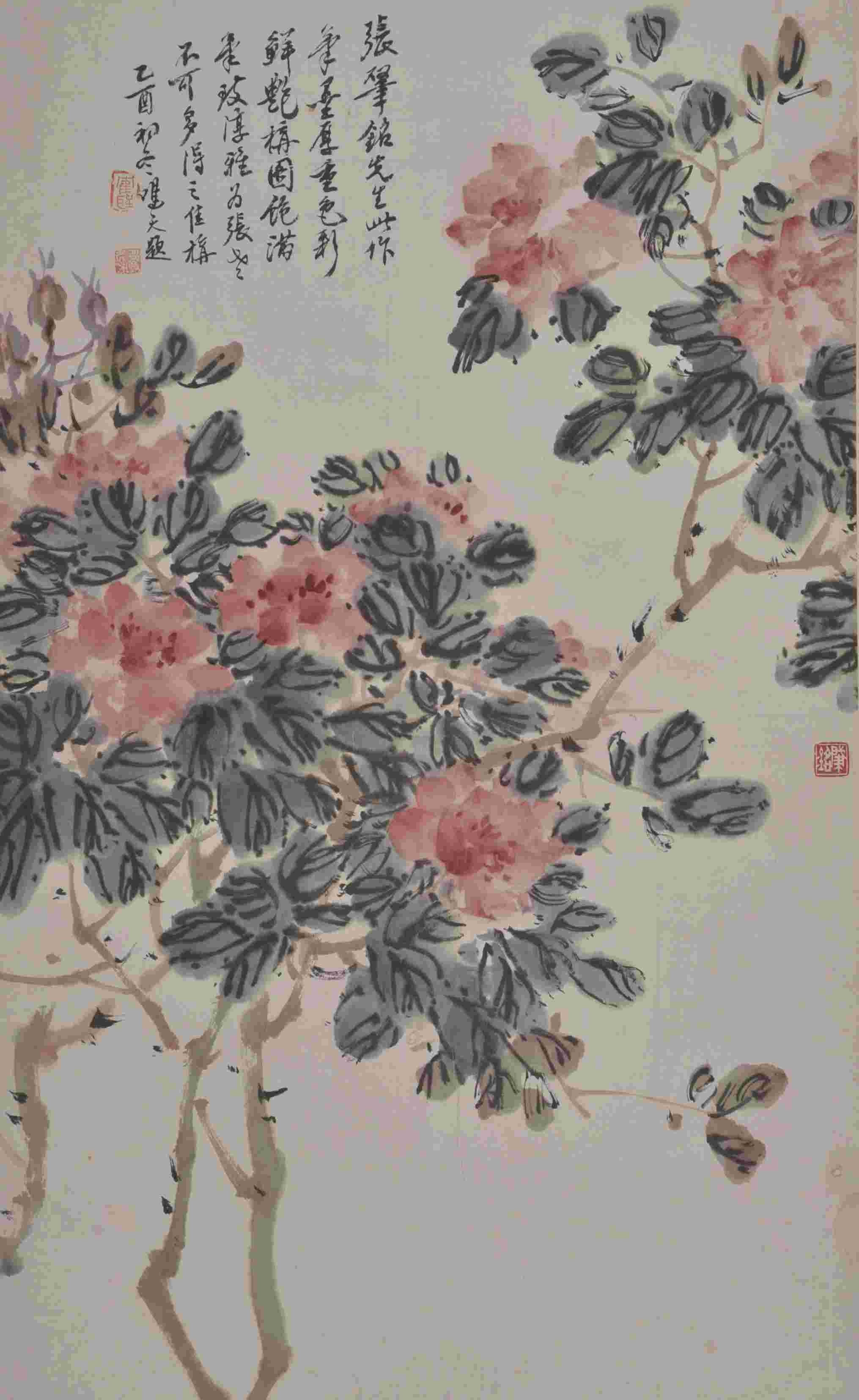 张肇铭 月季花 