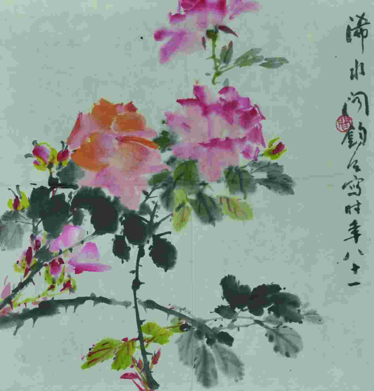 闻钧天 月季