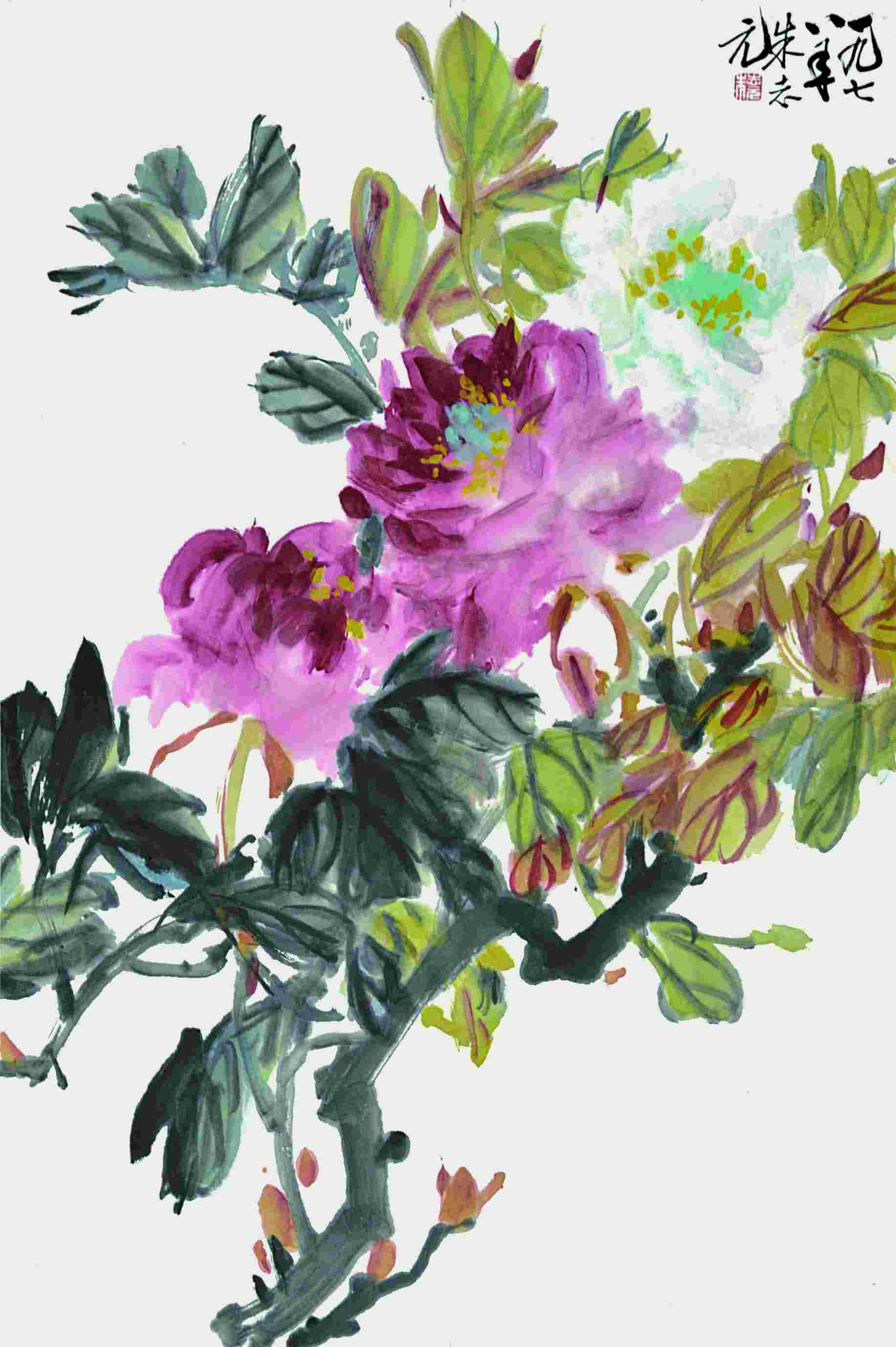 朱志元 花卉 