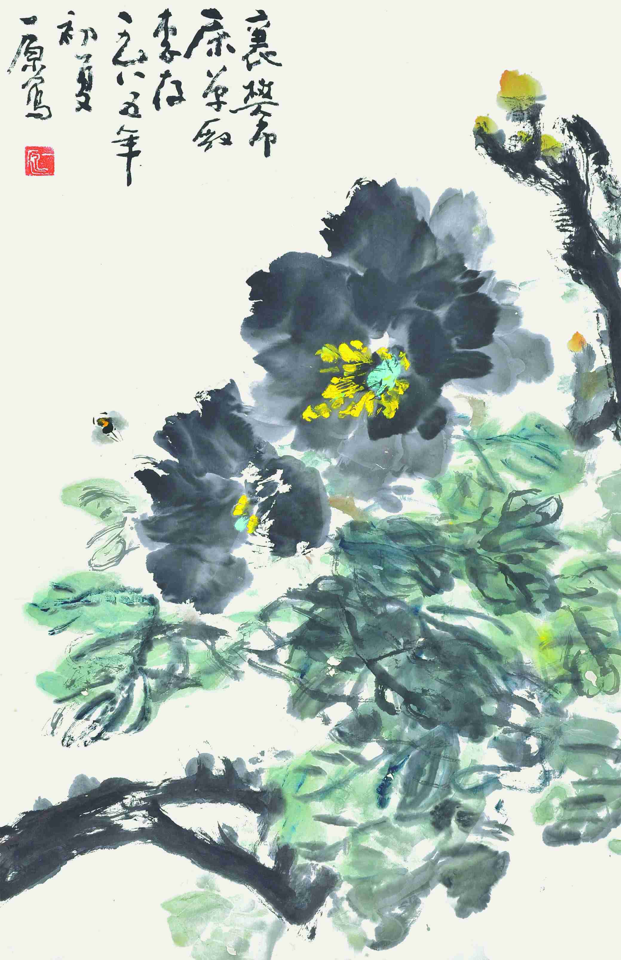 刘一原 花卉 