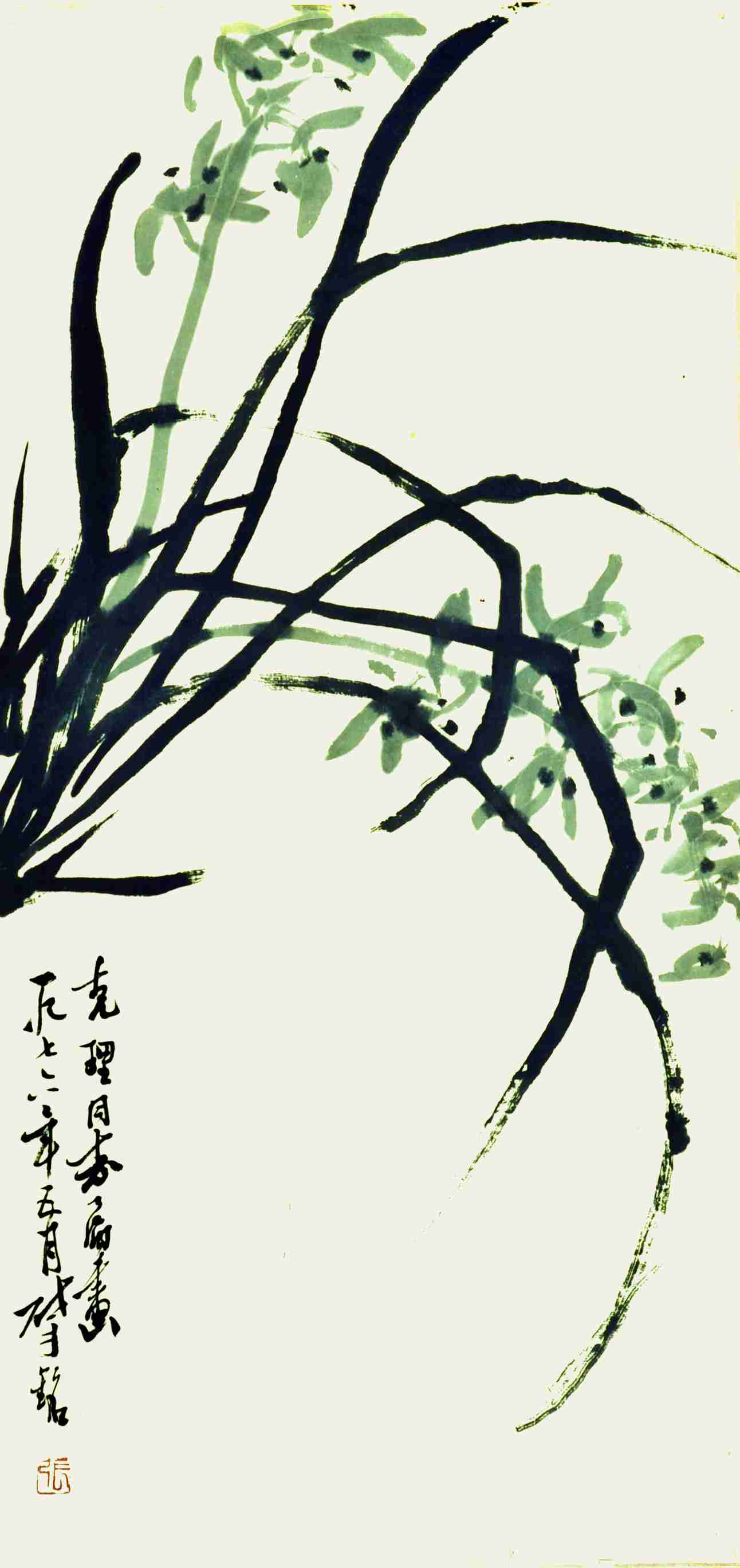 张肇铭	兰草	
