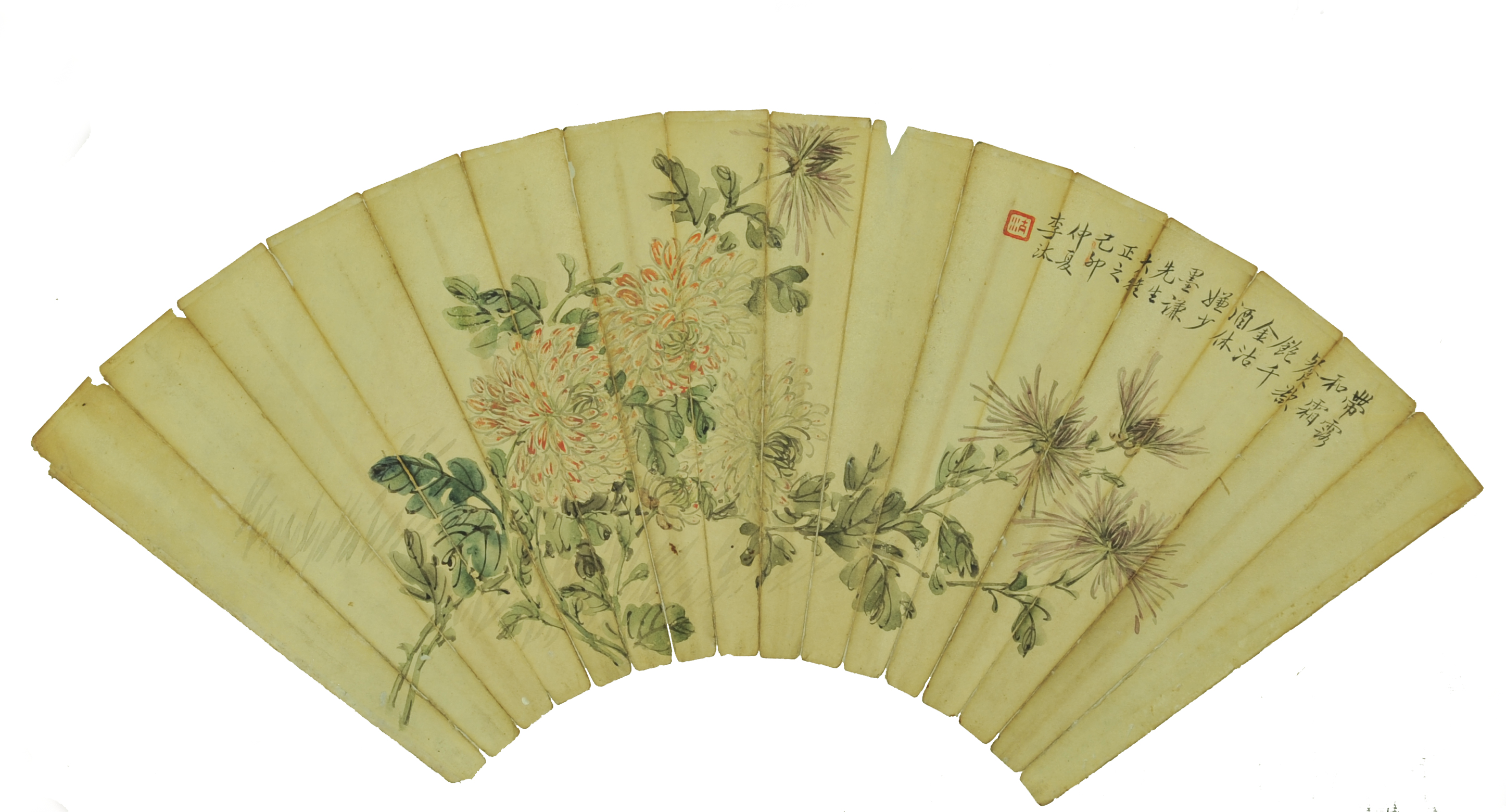 李汰  菊花扇面