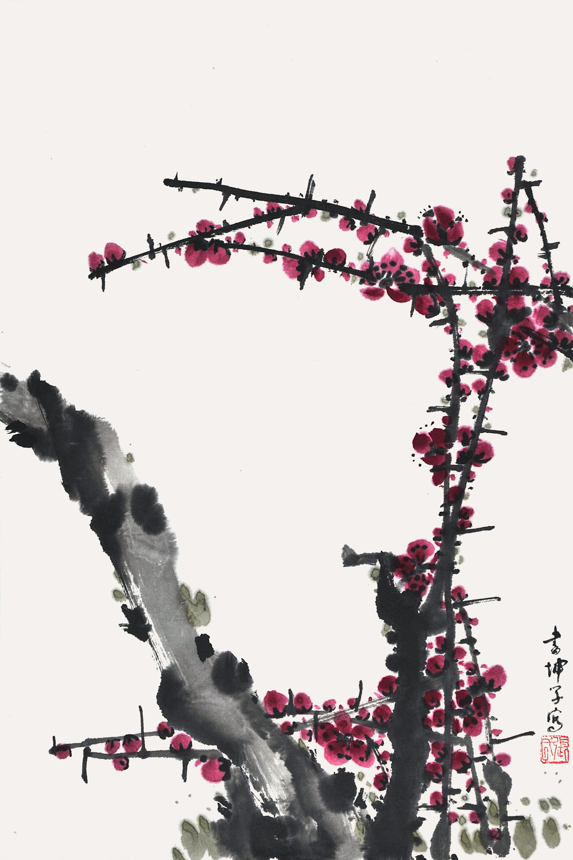 张书坤	梅花