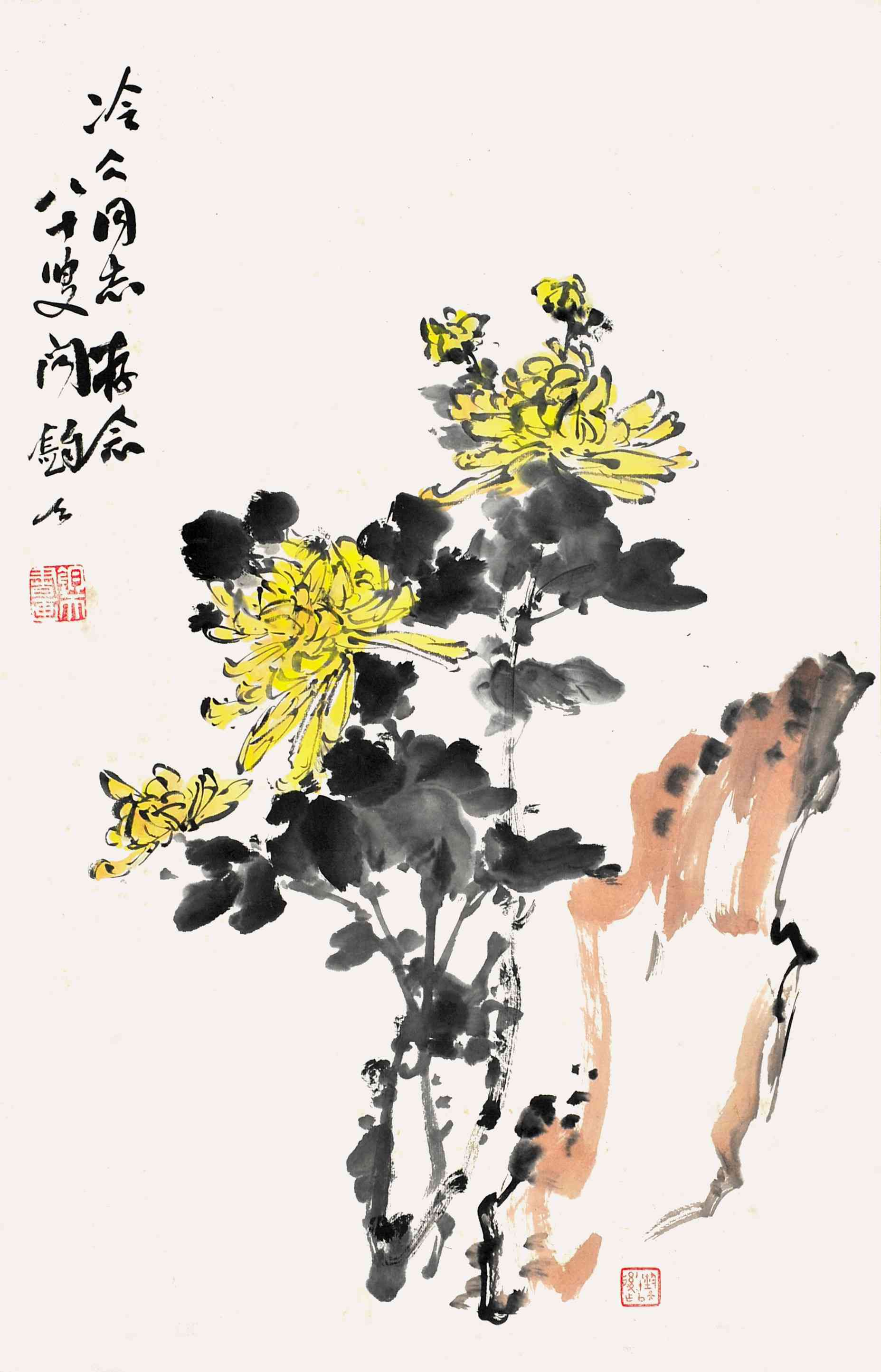 闻钧天	菊石图