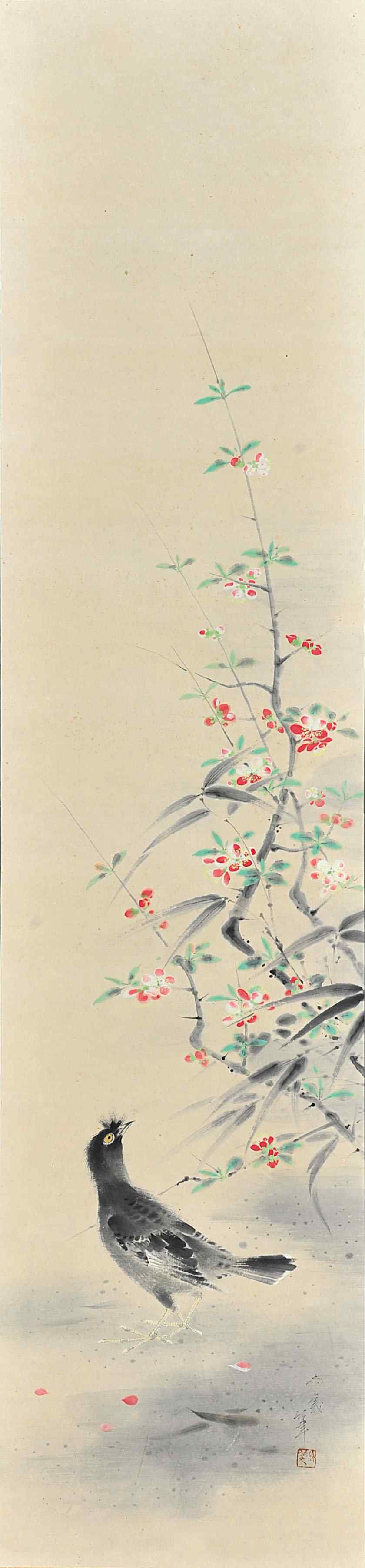 尚义  花鸟