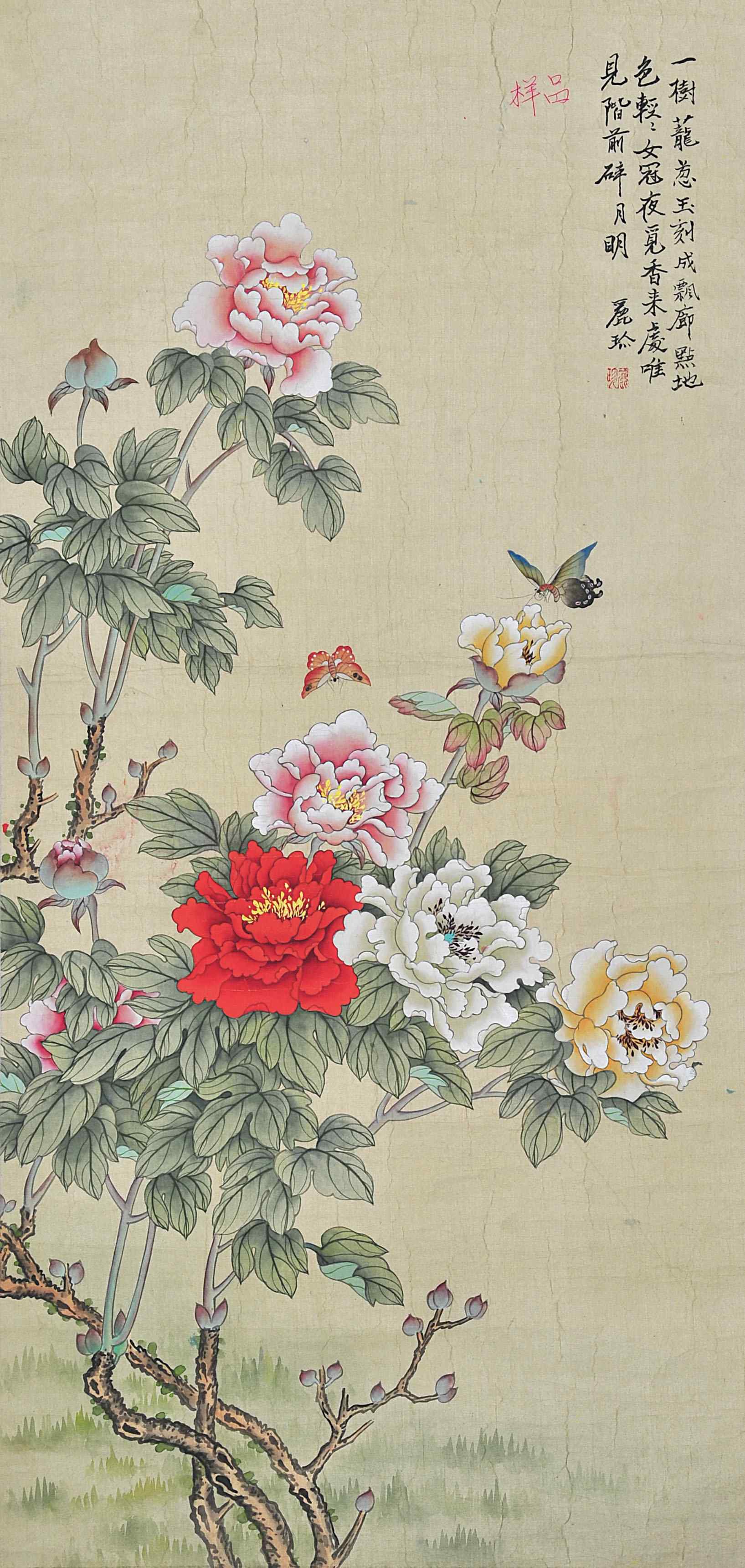 丽玲  富贵蝶舞