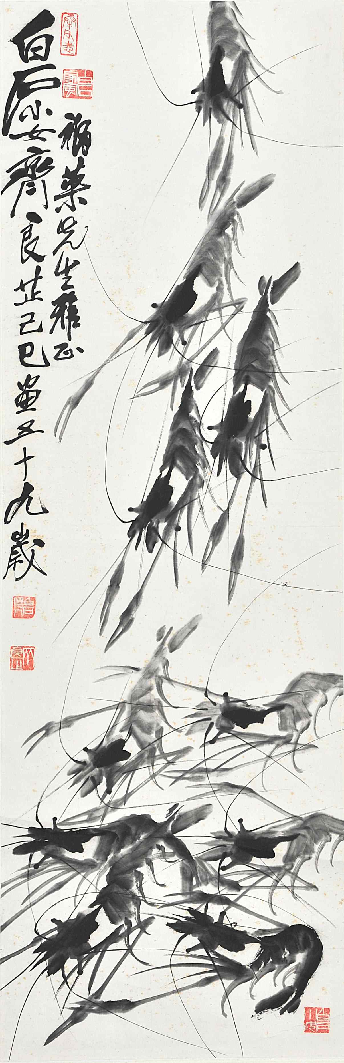 齐良芷 虾