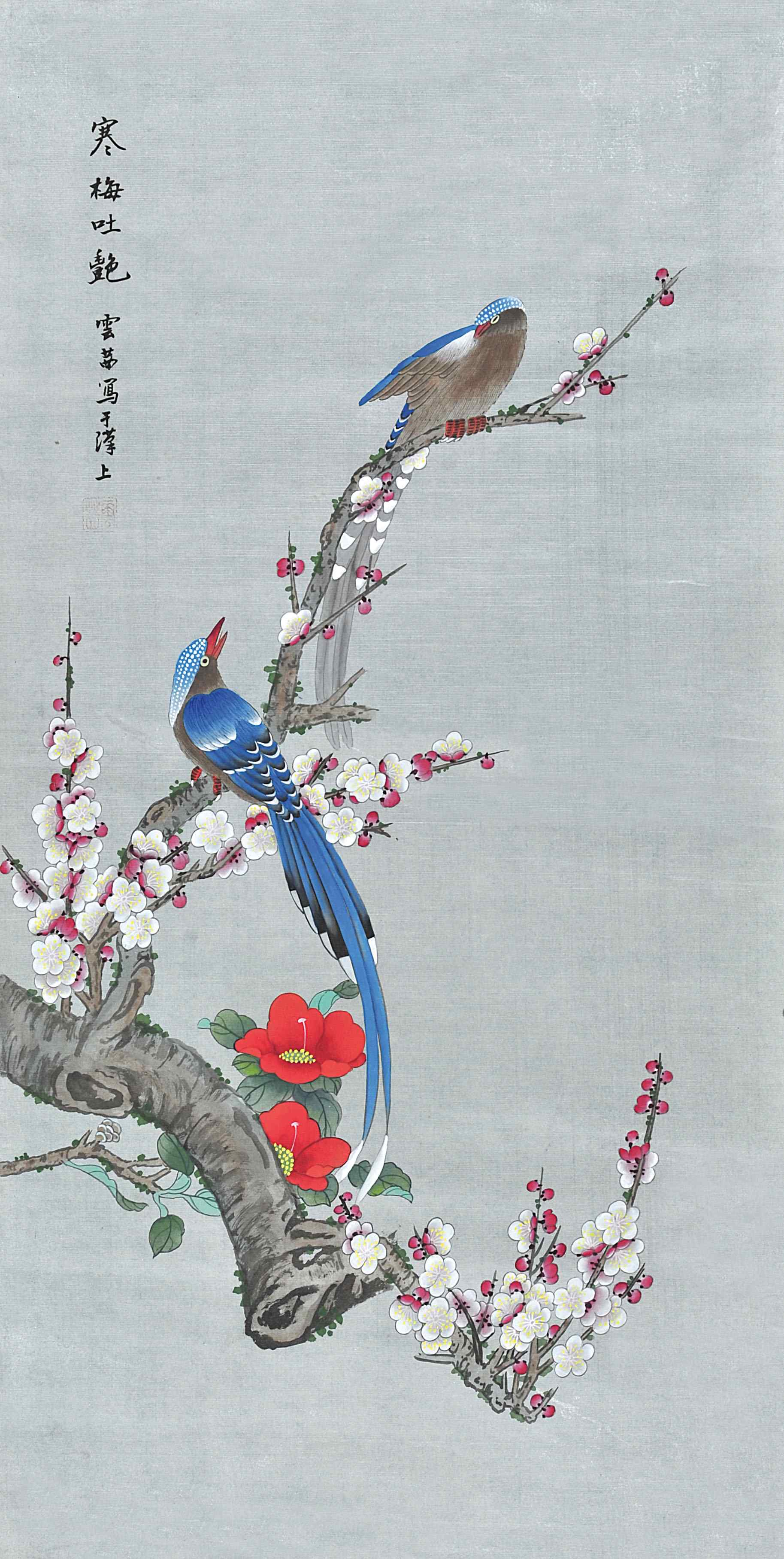 云茜  寒梅吐艳