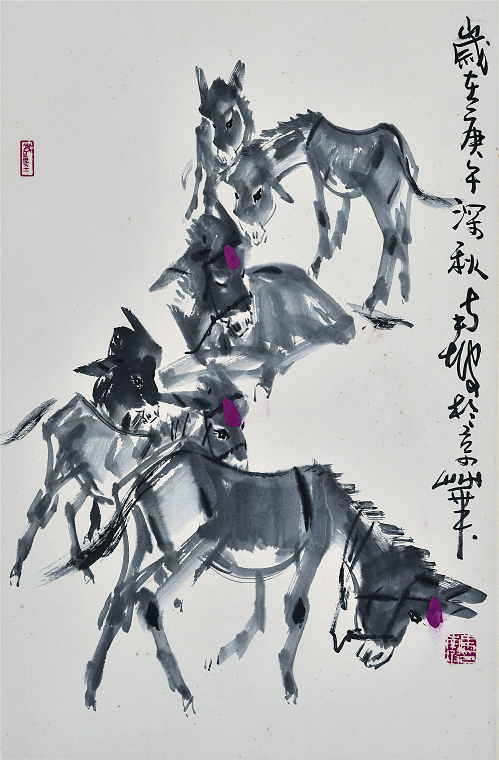 马南坡 驴 