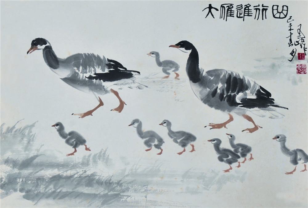 王为政 大雁 