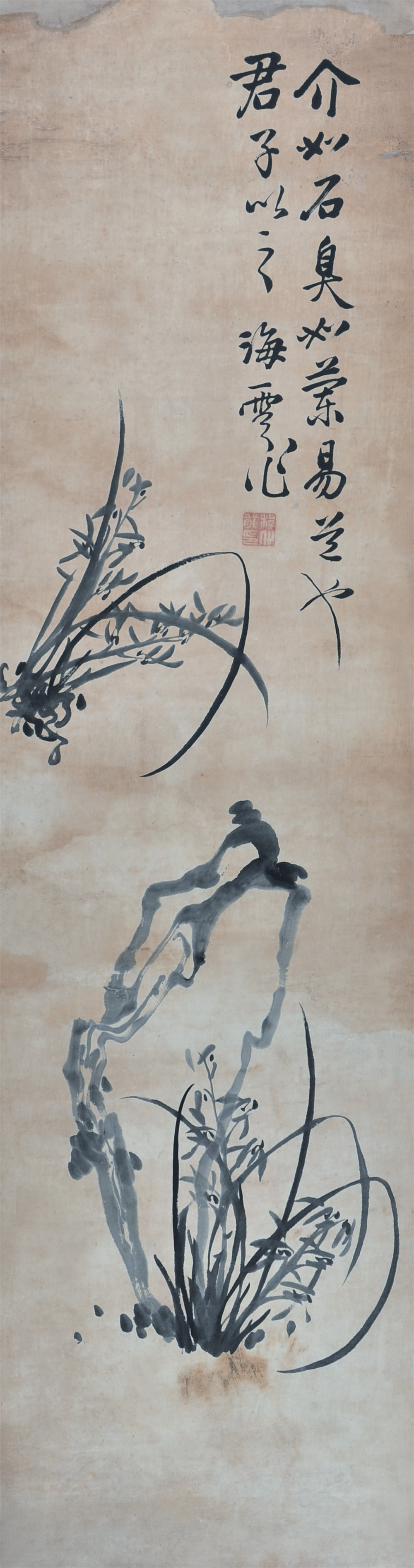 程化龙 兰草 