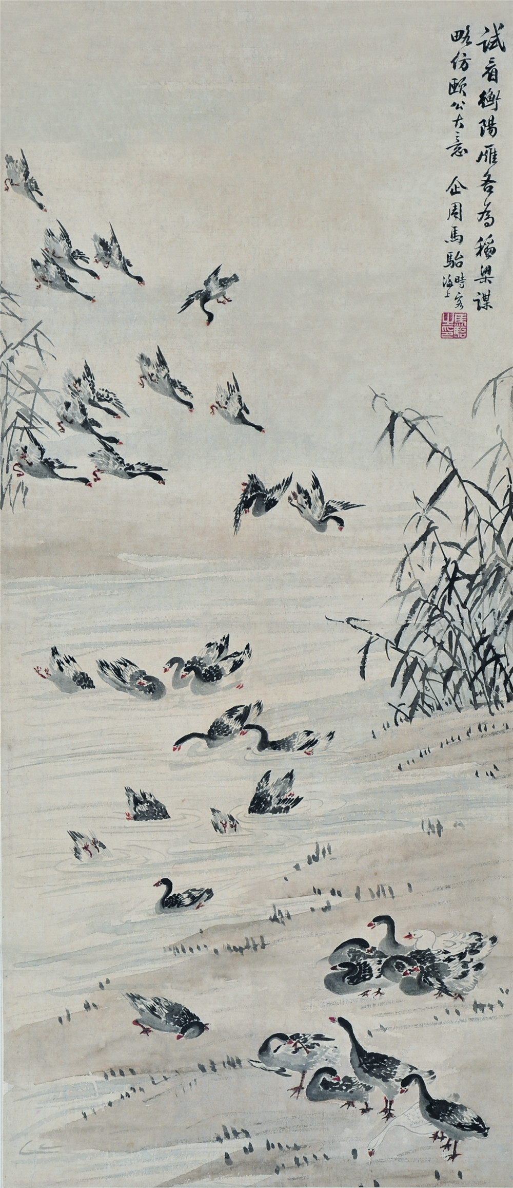 马骀 芦雁图 