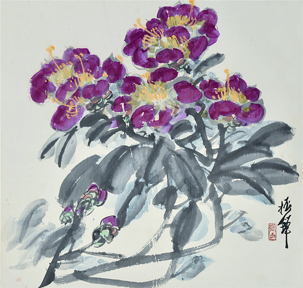 张振铎 山茶图 