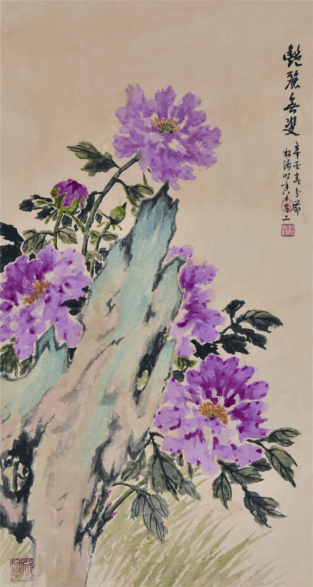 黄松涛 牡丹 