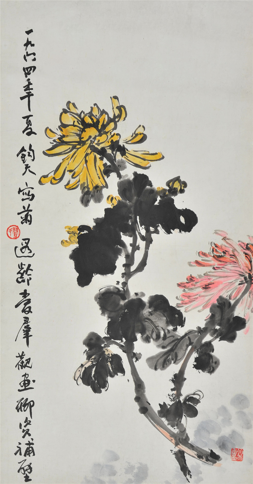 闻钧天 菊花
