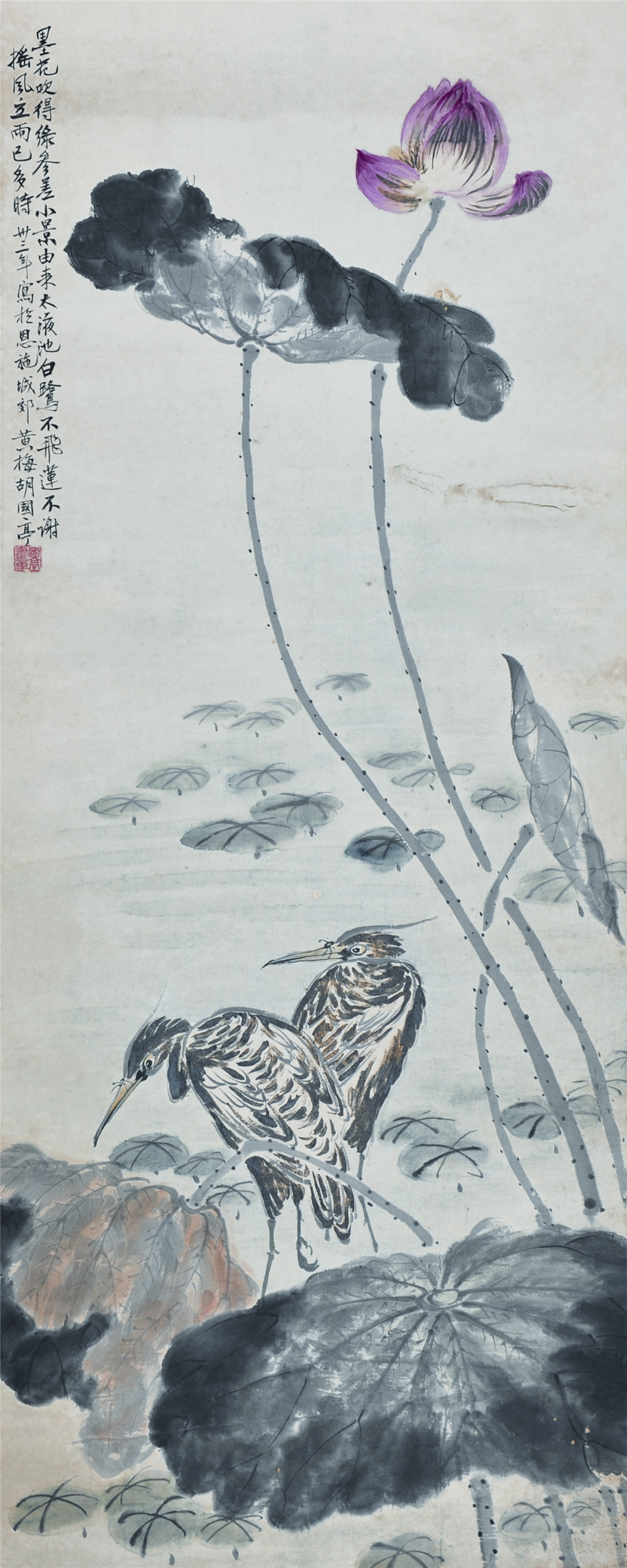 胡国亭 花鸟 