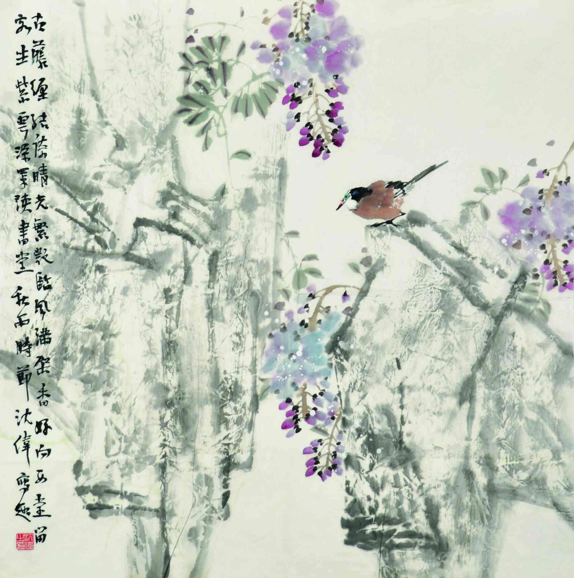 沈伟	紫藤小鸟