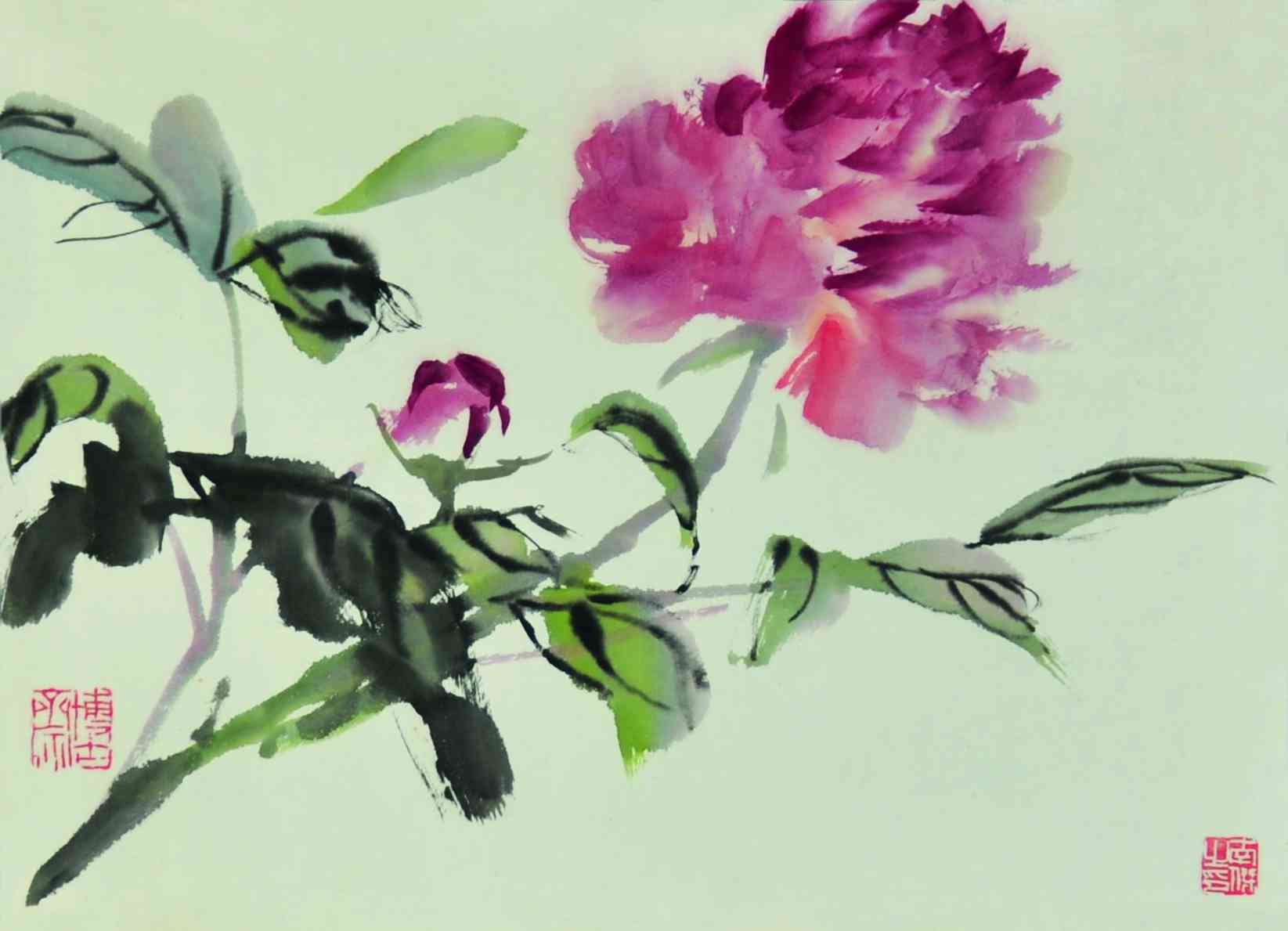 余澜	花卉