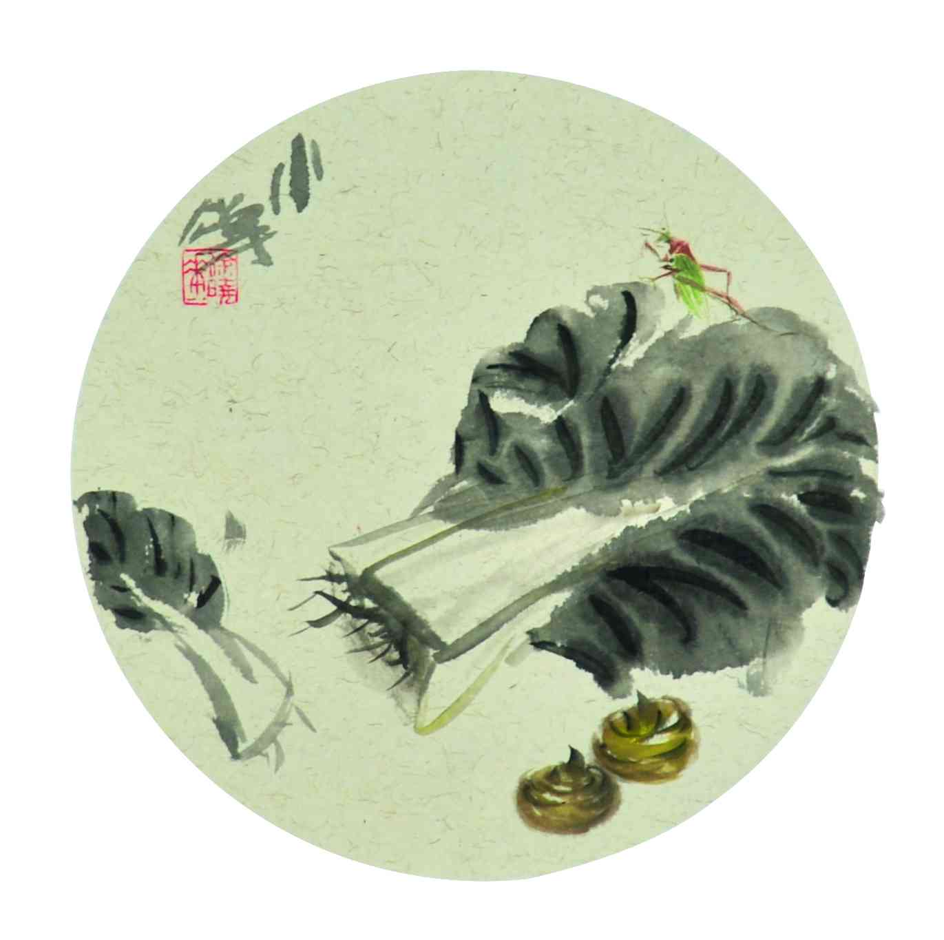徐晓华	白菜