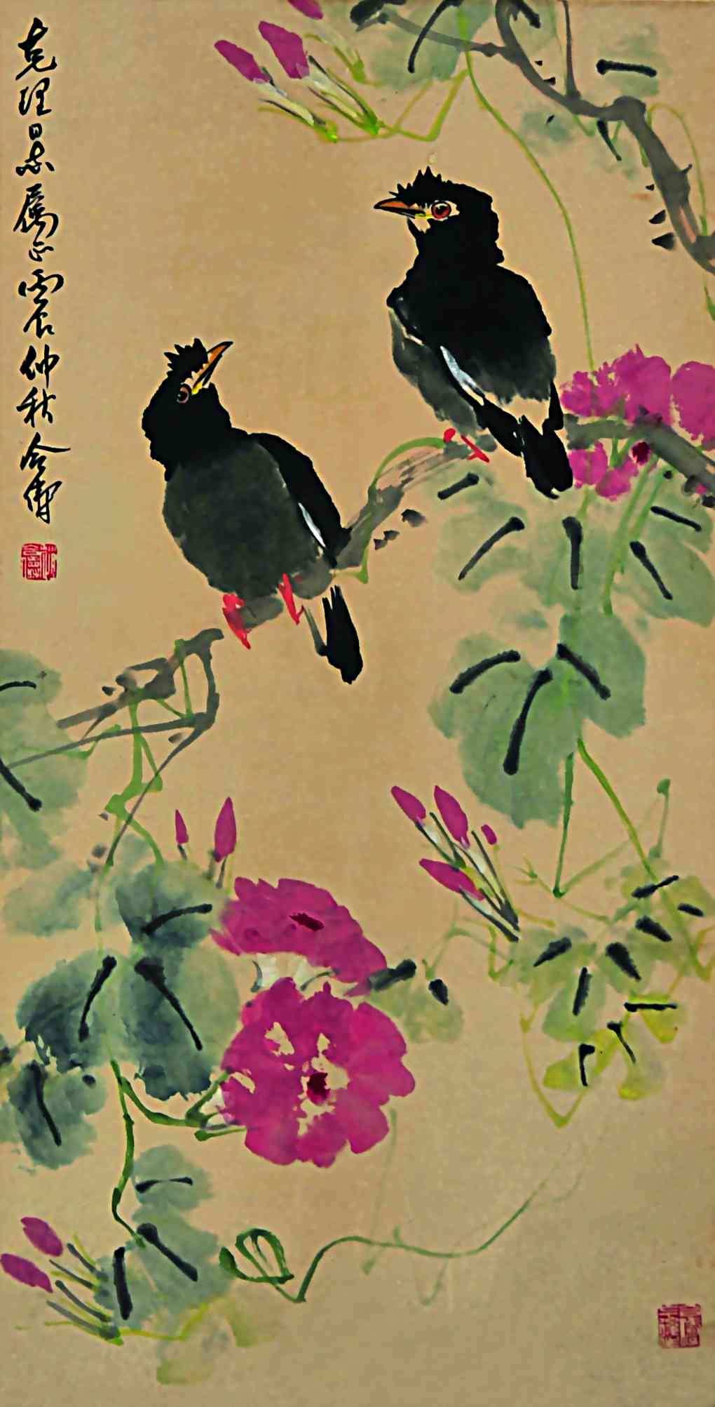 308	 赵合俦	牵牛八哥	