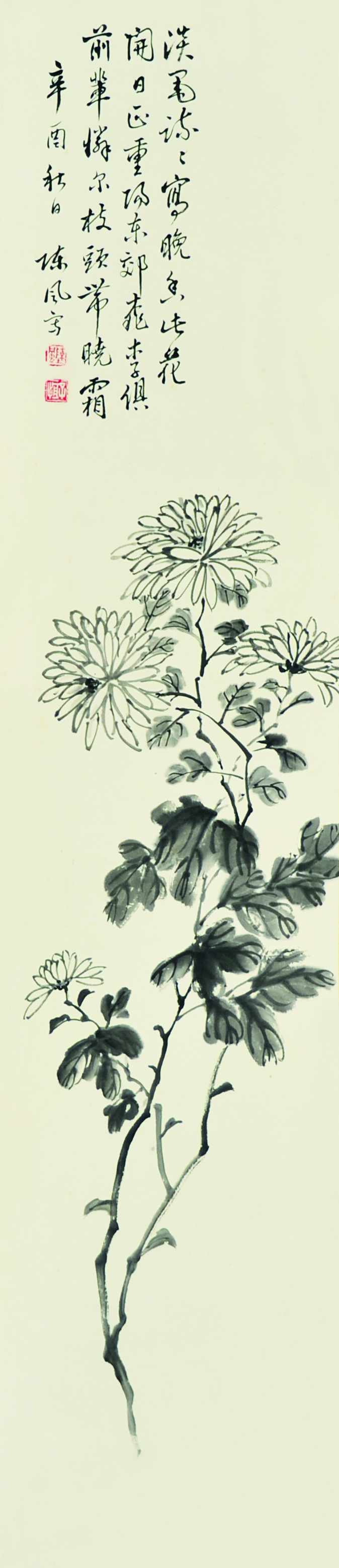 陈风  菊花 