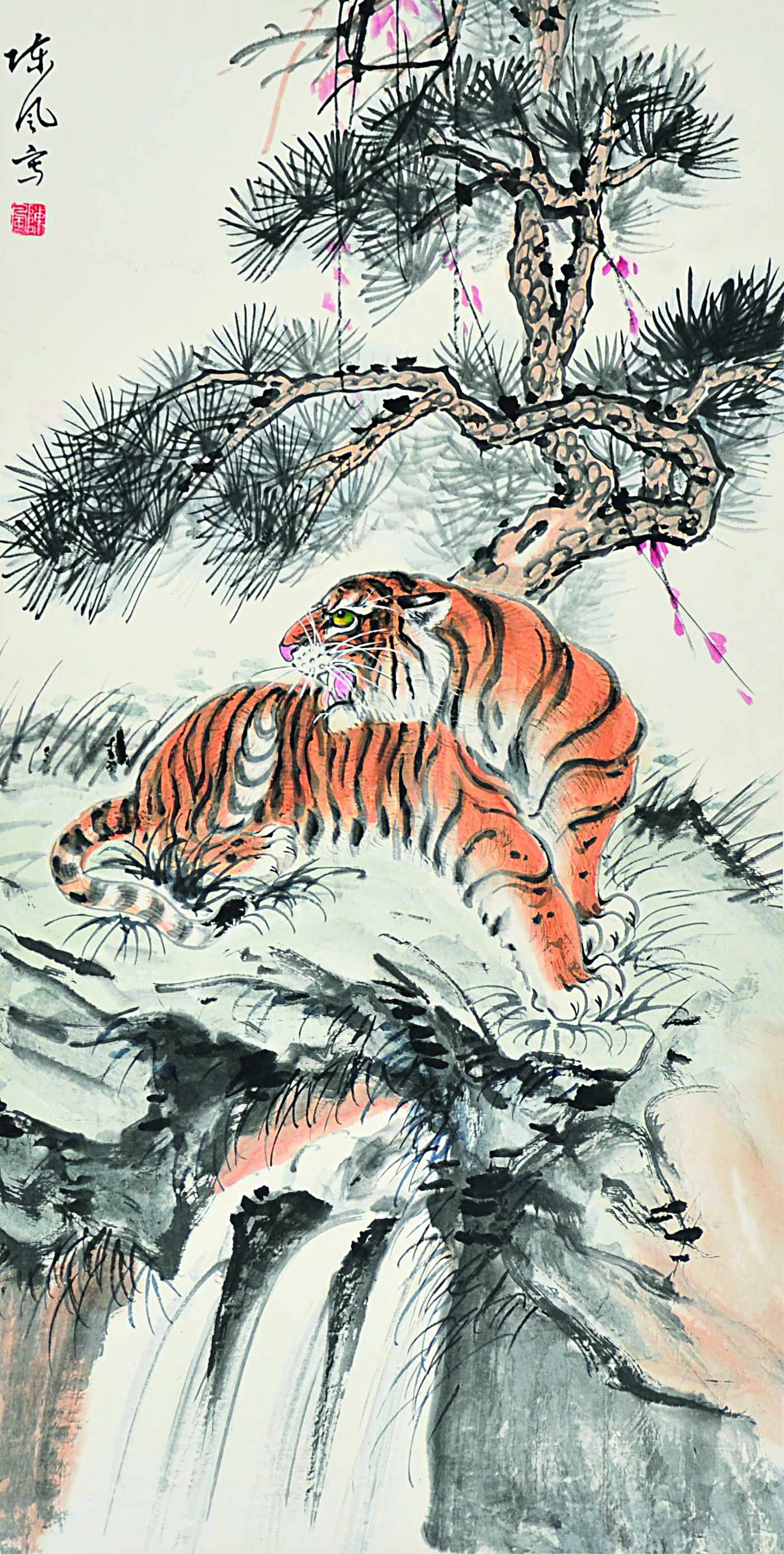 陈风  老虎  