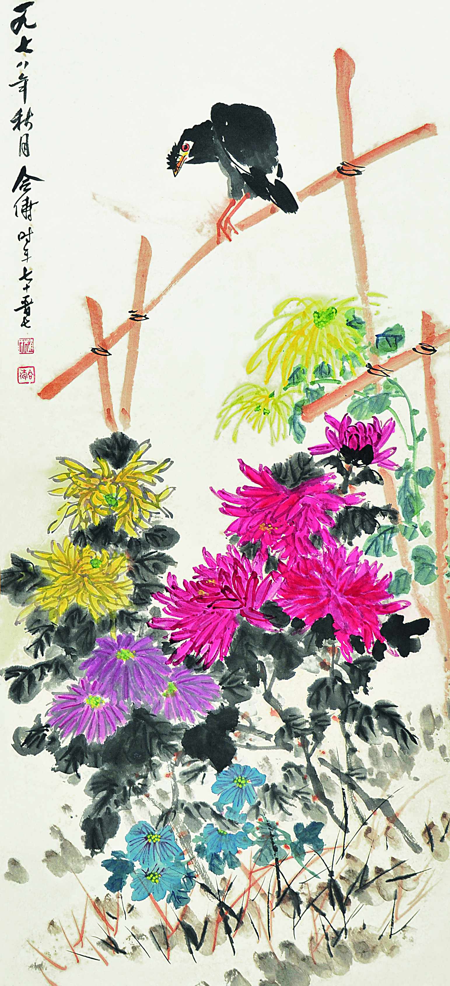 赵合俦  菊花八哥