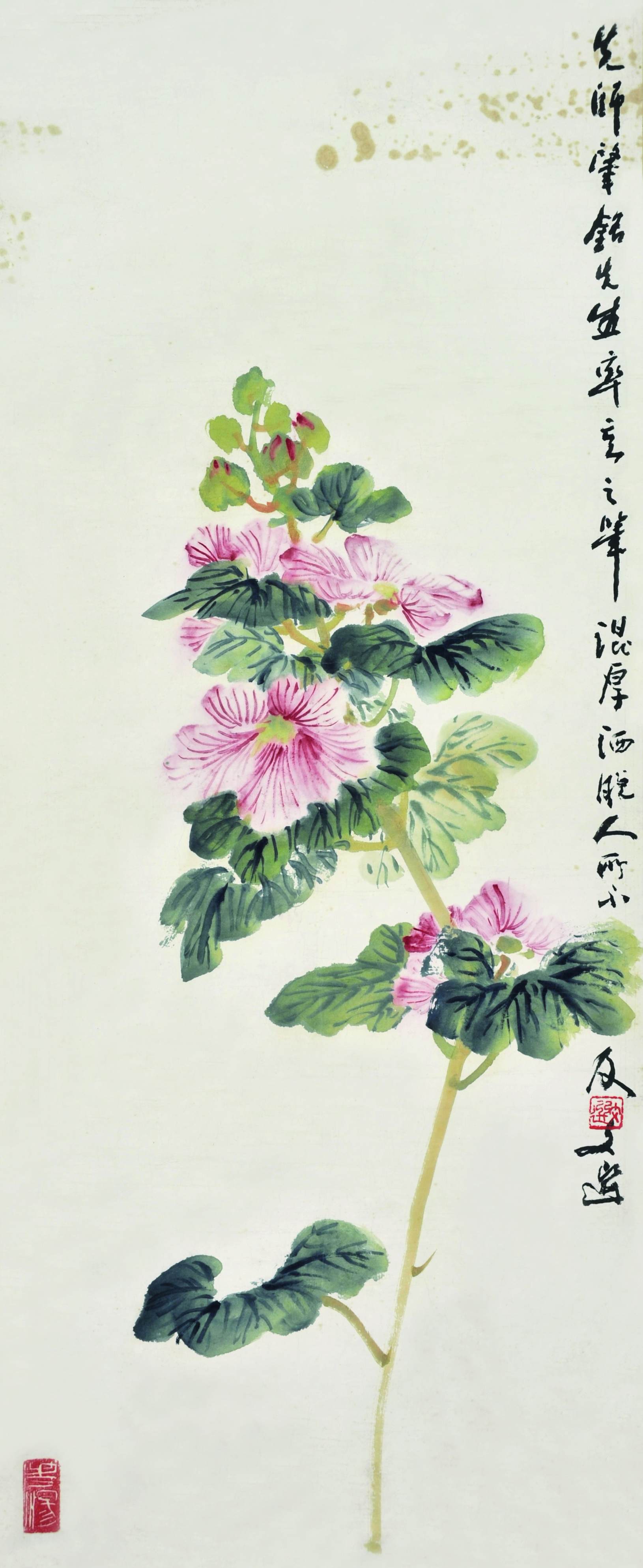 张肇铭 蜀葵图
