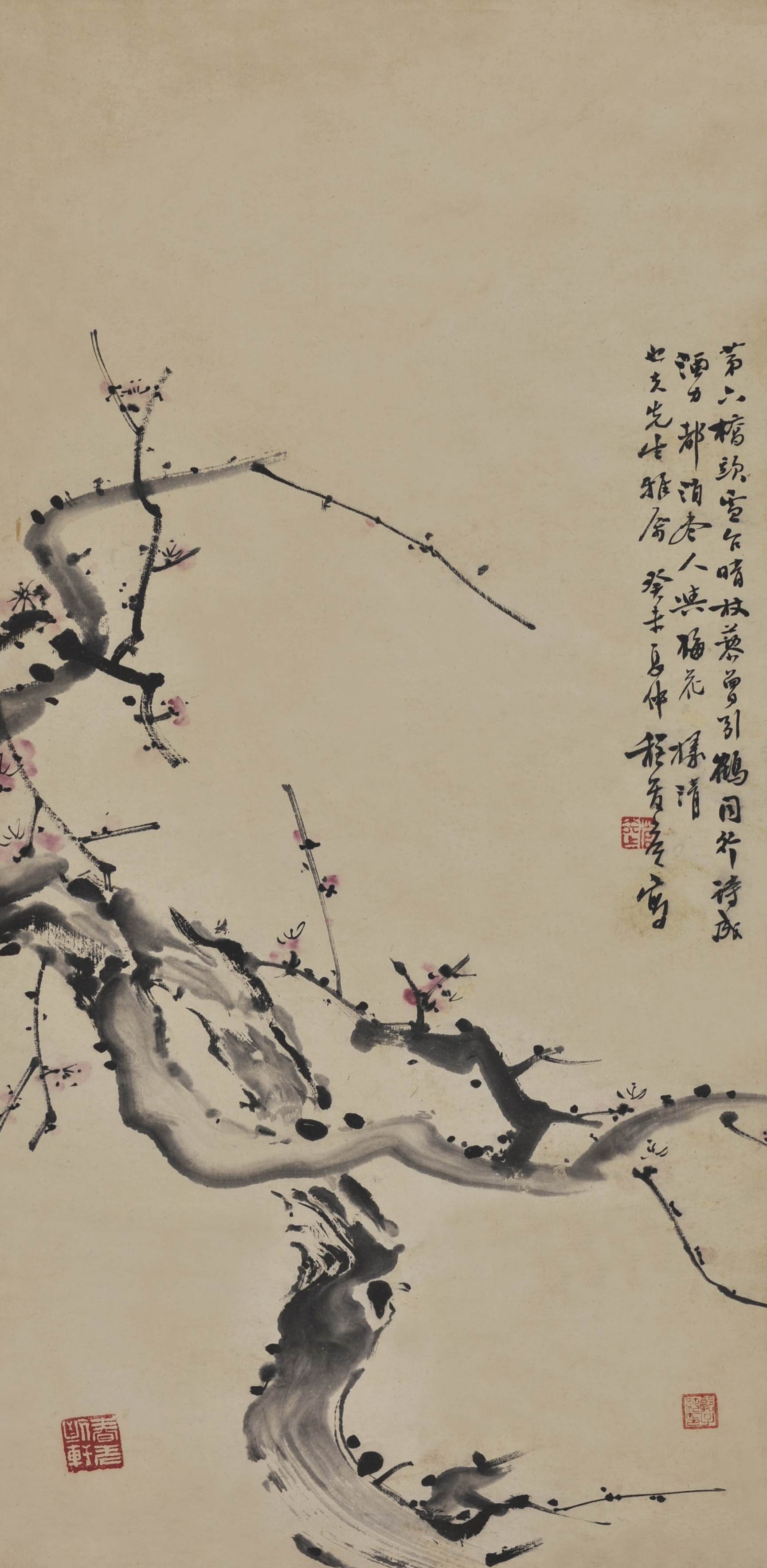 程管候 梅花