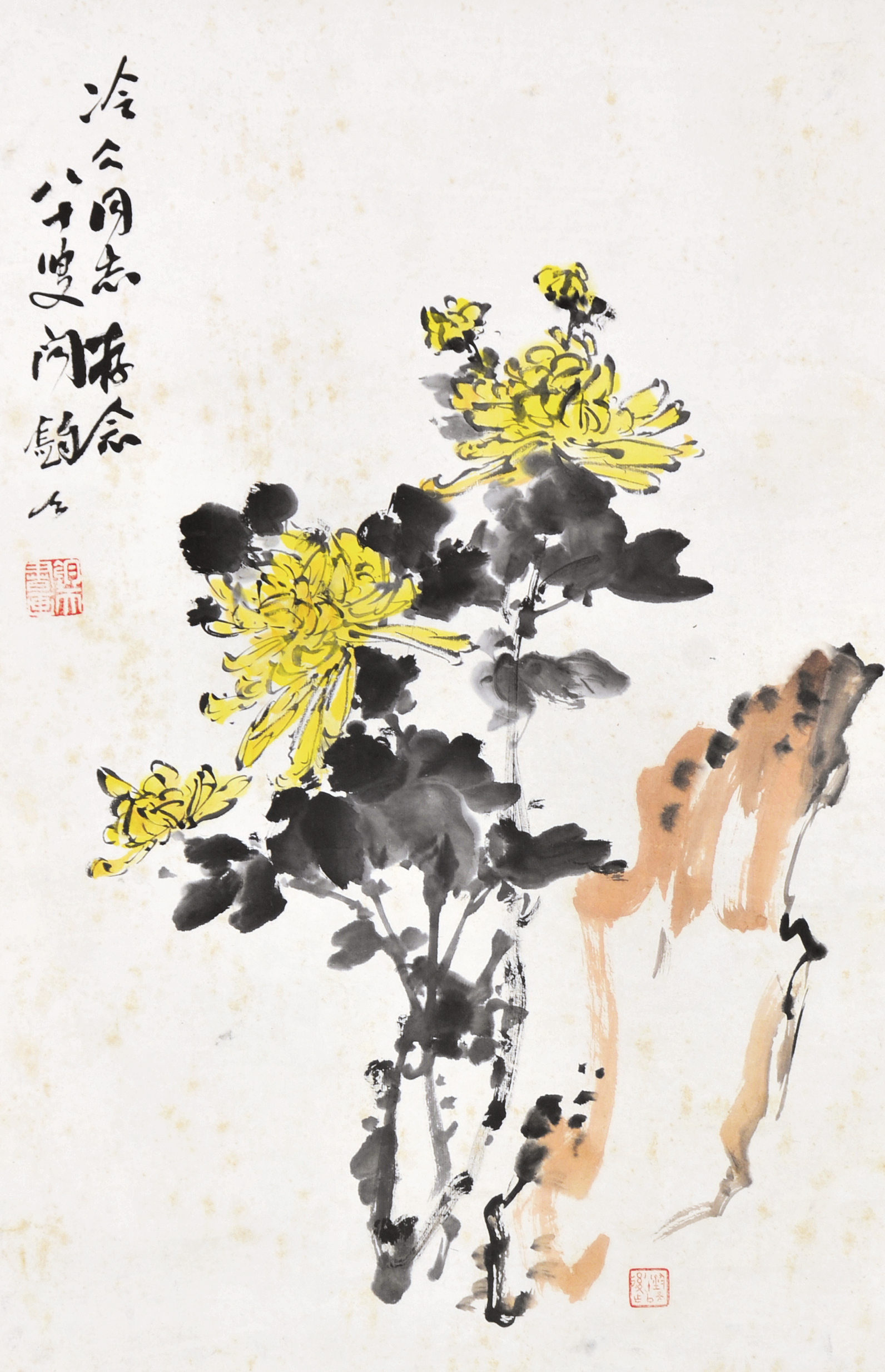 246 闻钧天 菊石图