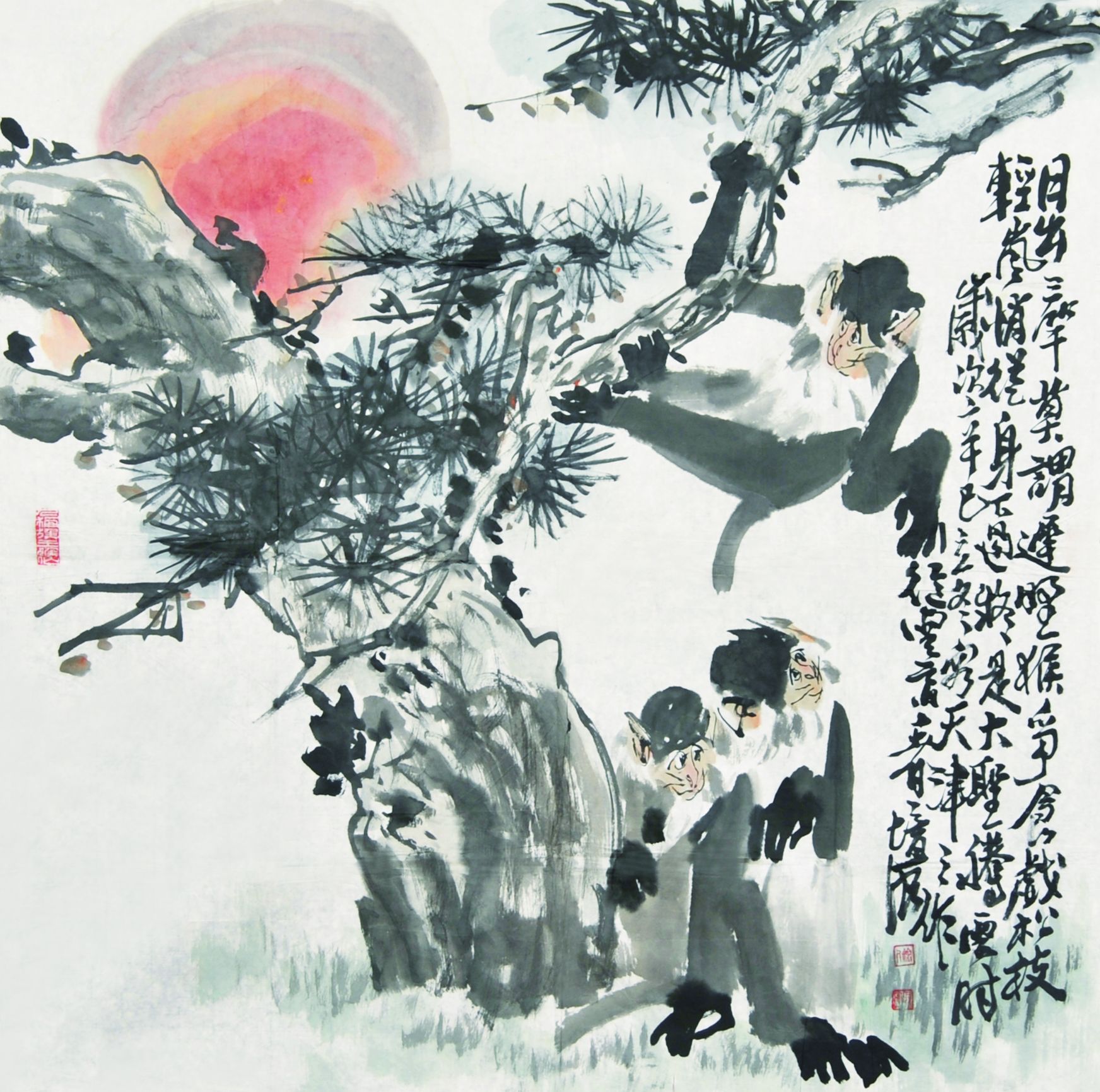 徐培晨　猴子