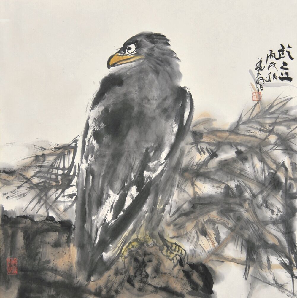 田华　鹰 