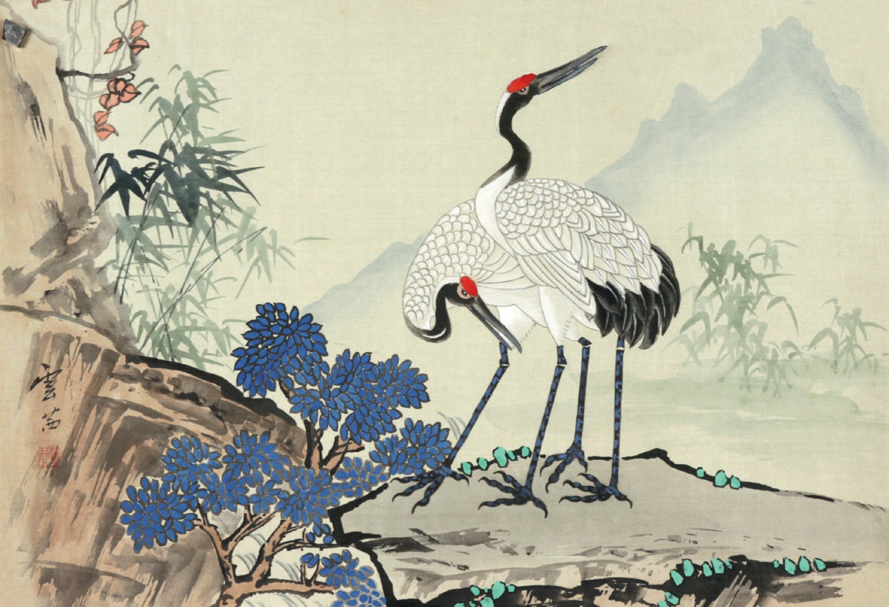 云茜 鹤寿