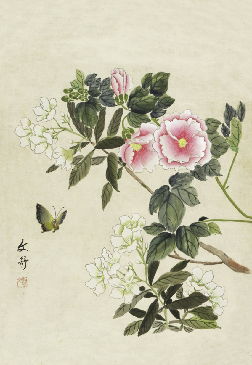 黄文舒 秋葵