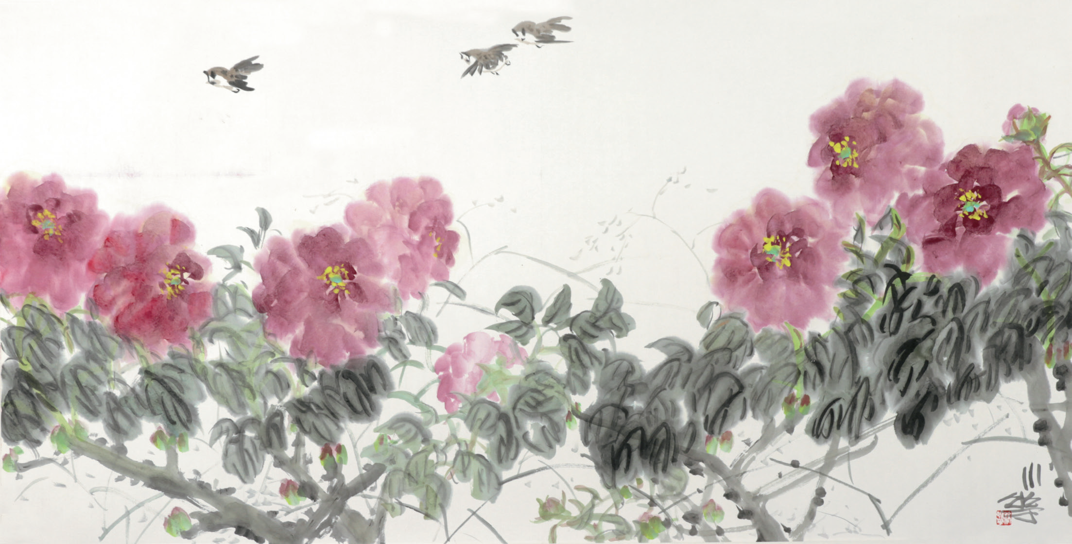 徐晓华 花鸟