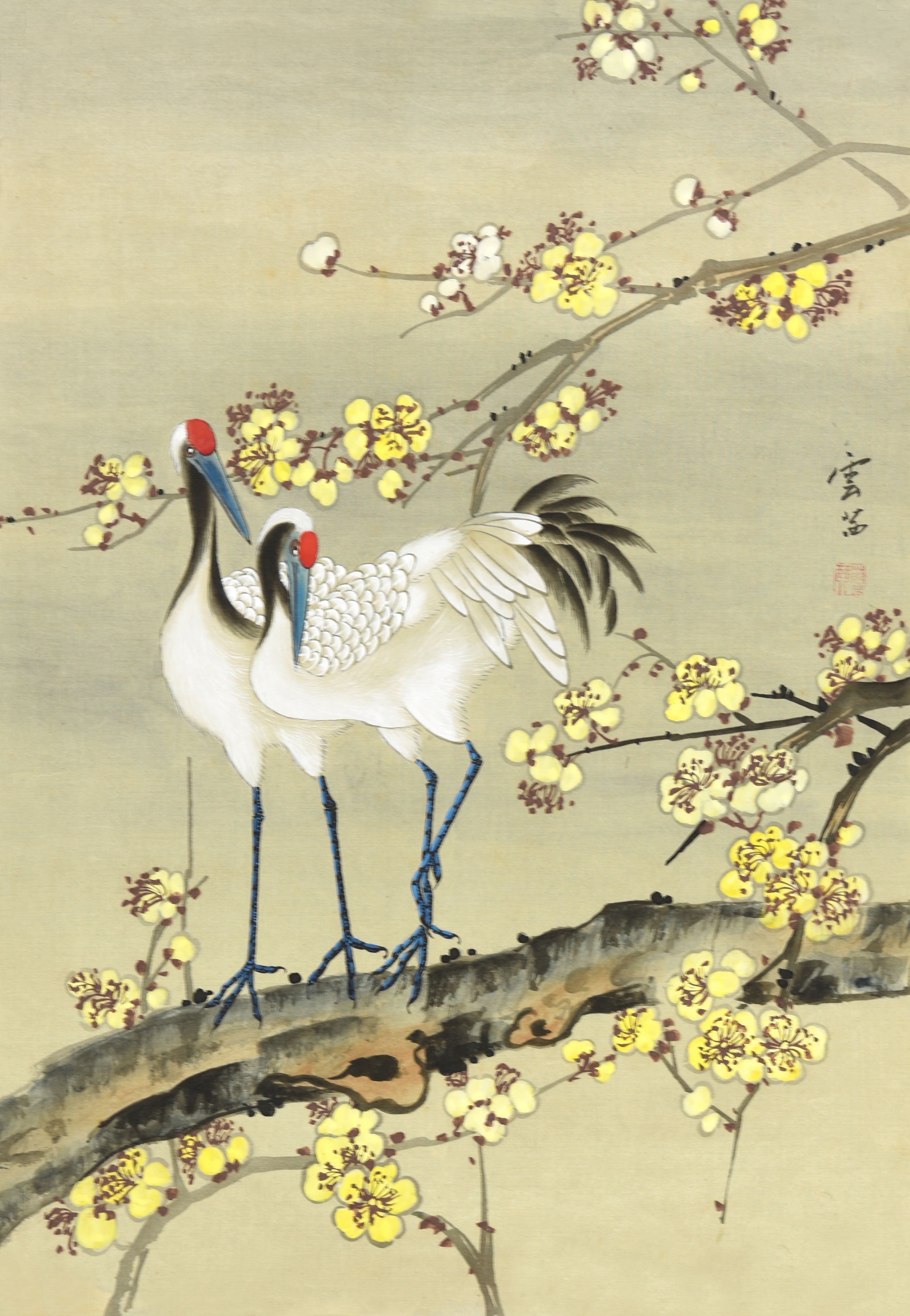 云茜 梅花双侣
