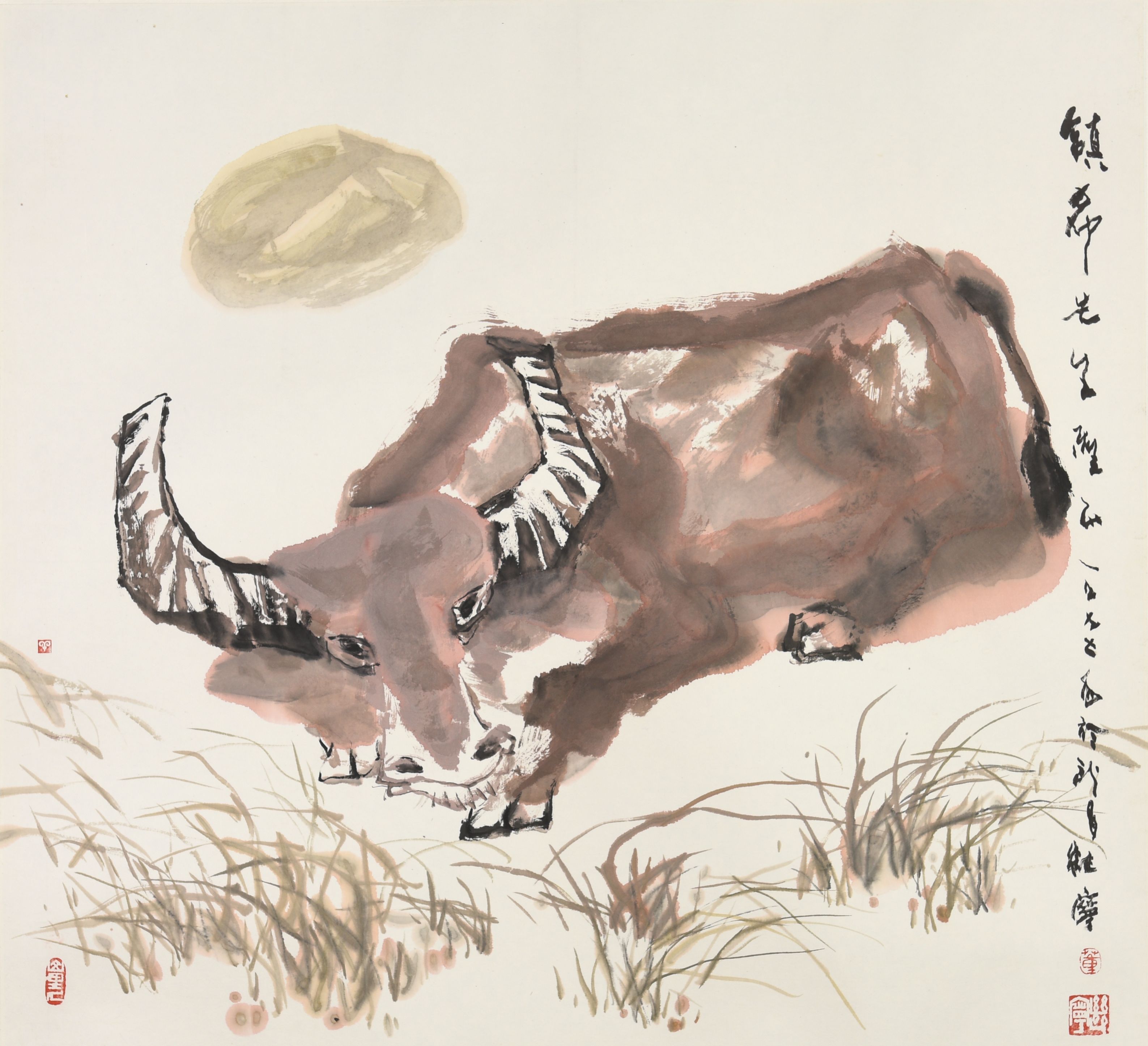 董继宁 牛