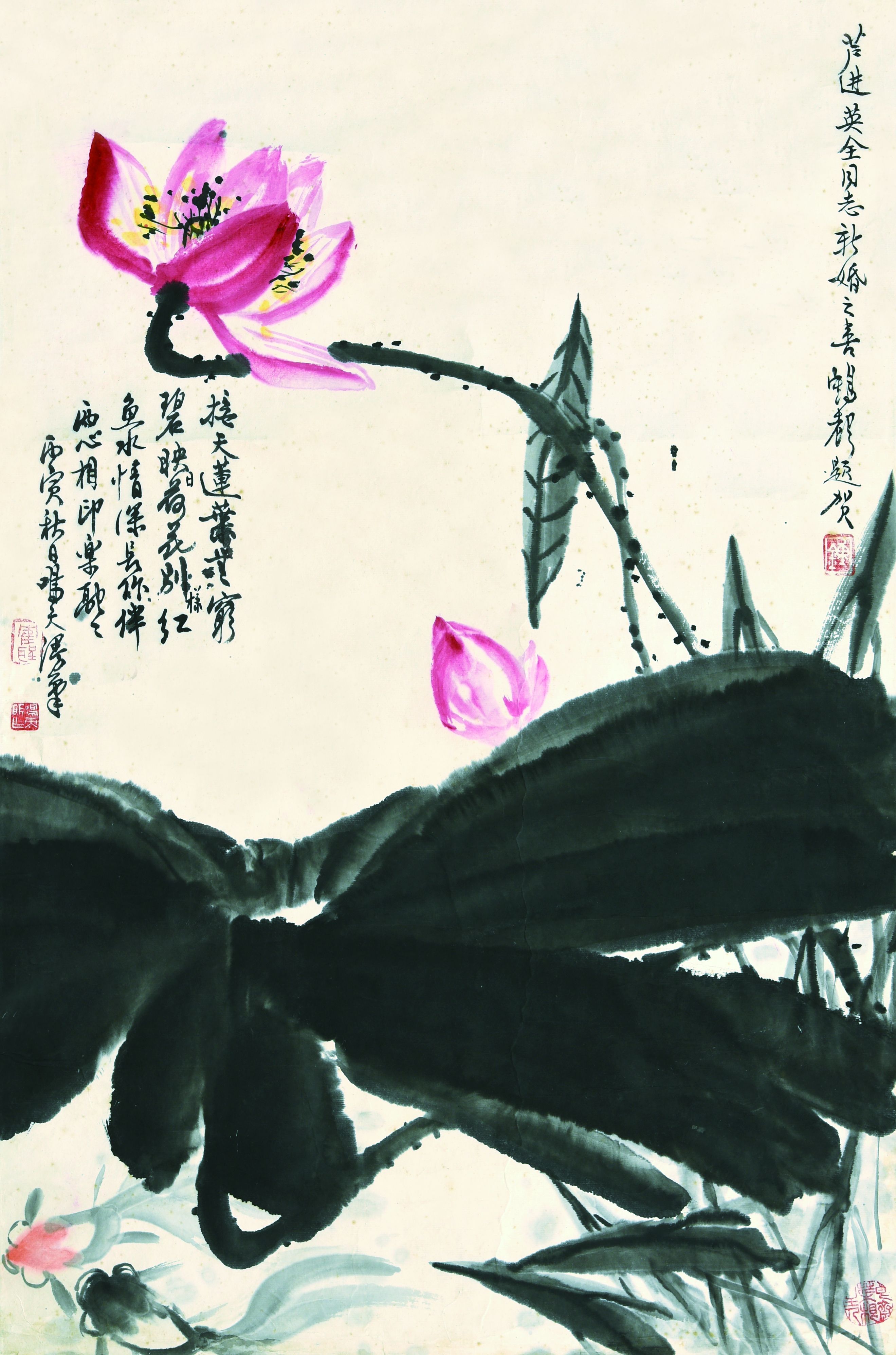 108 钟鸣天 荷花