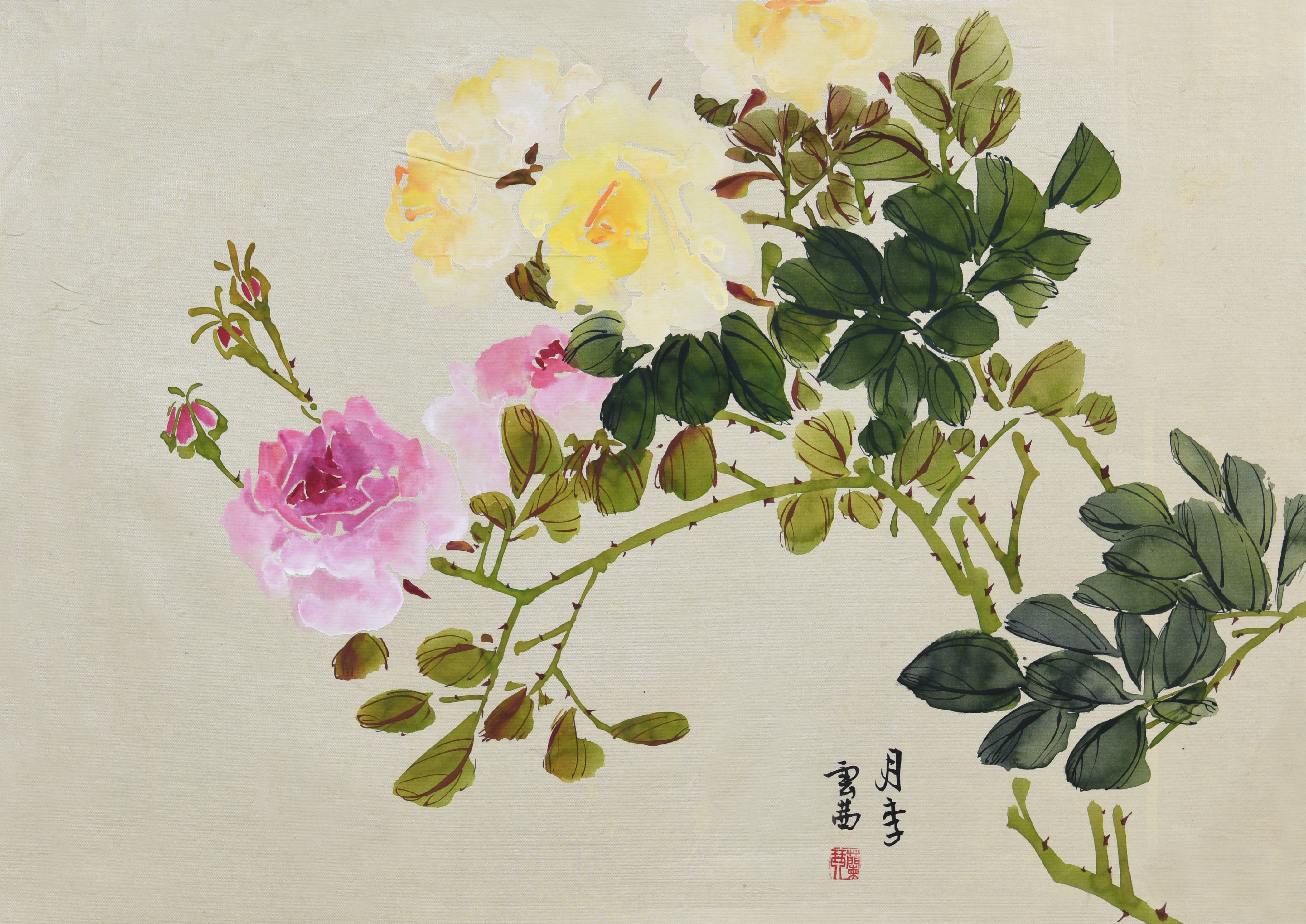 064 云茜 月月红