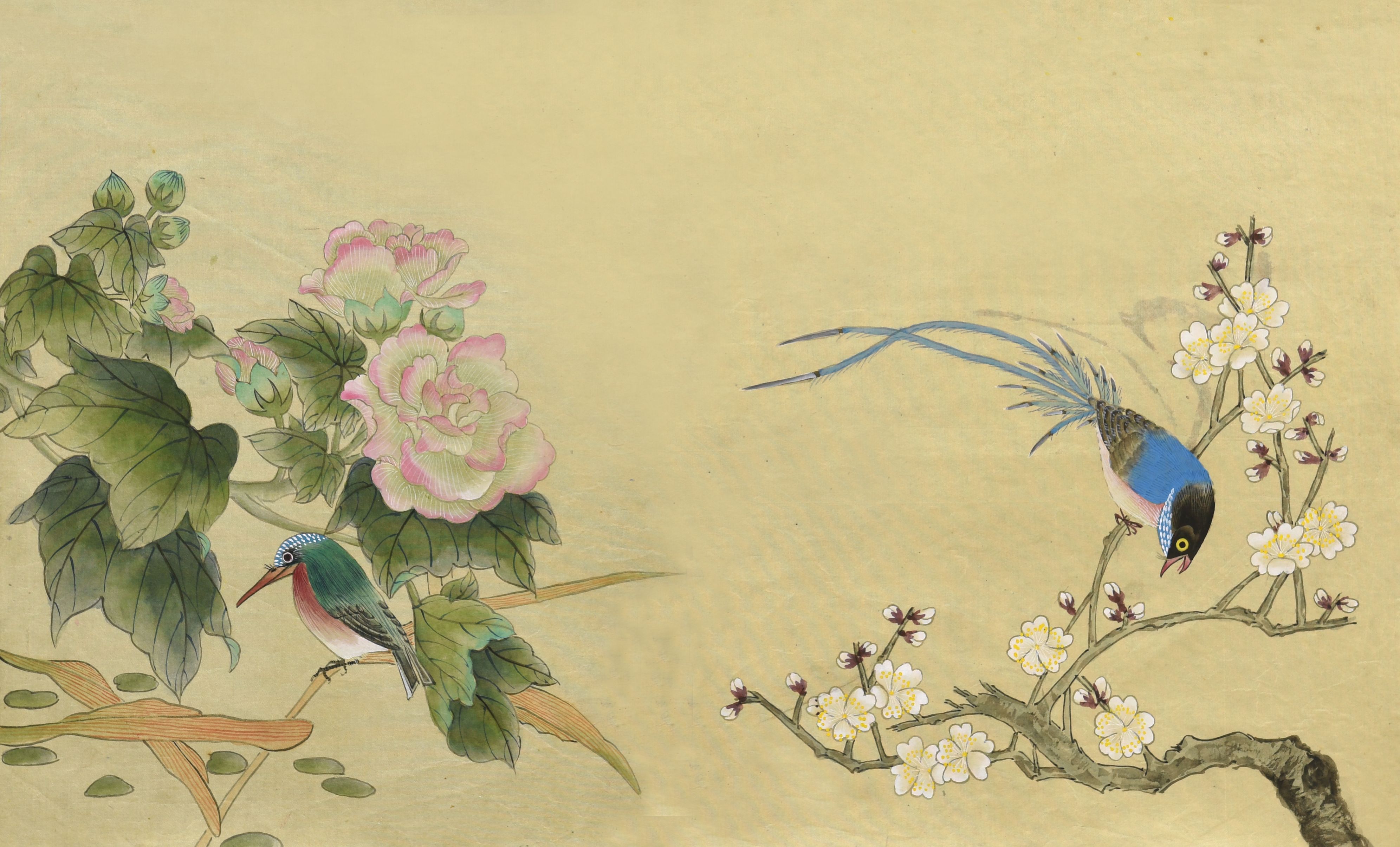 063 云茜 花鸟册