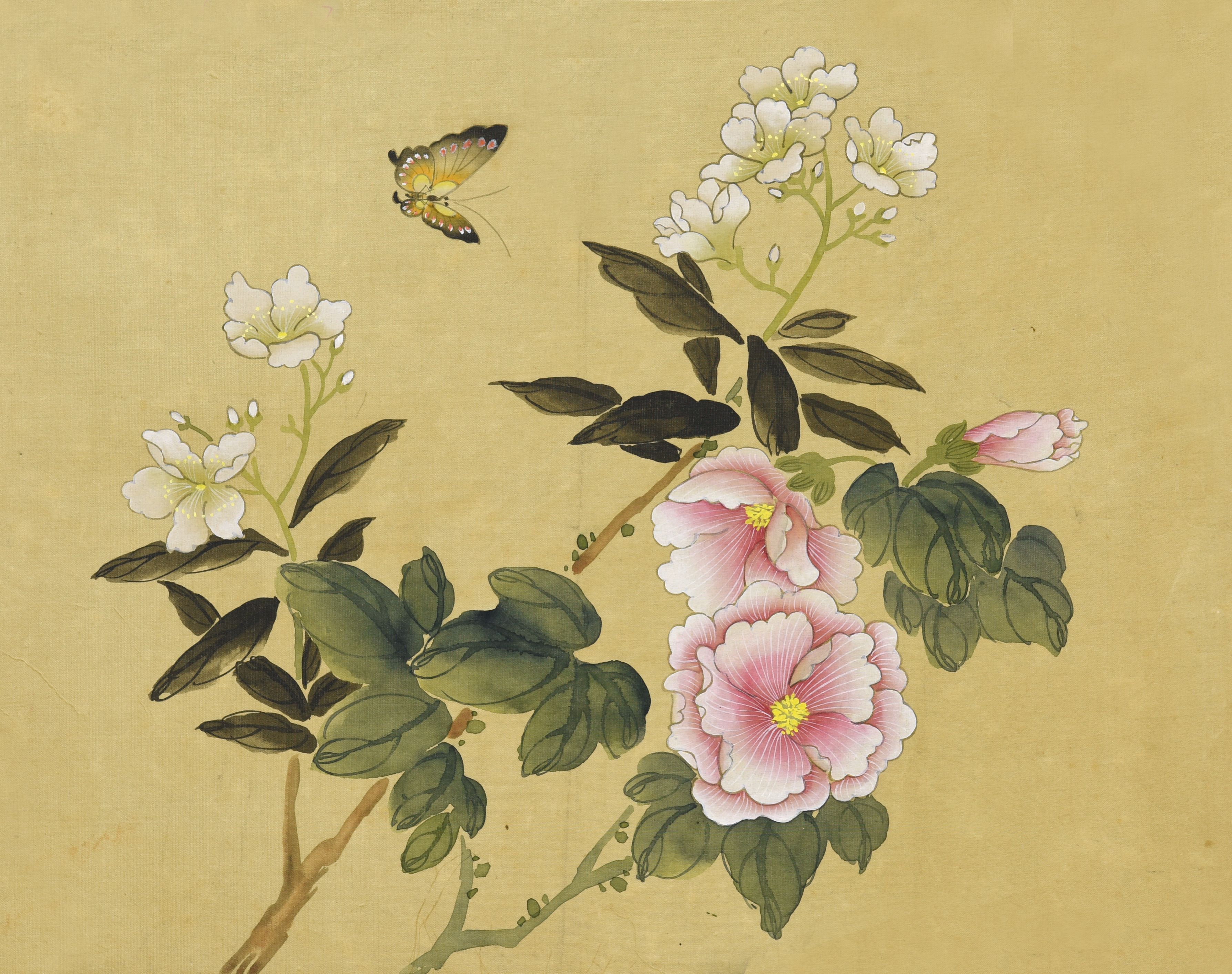 062 佚名 蝶恋花