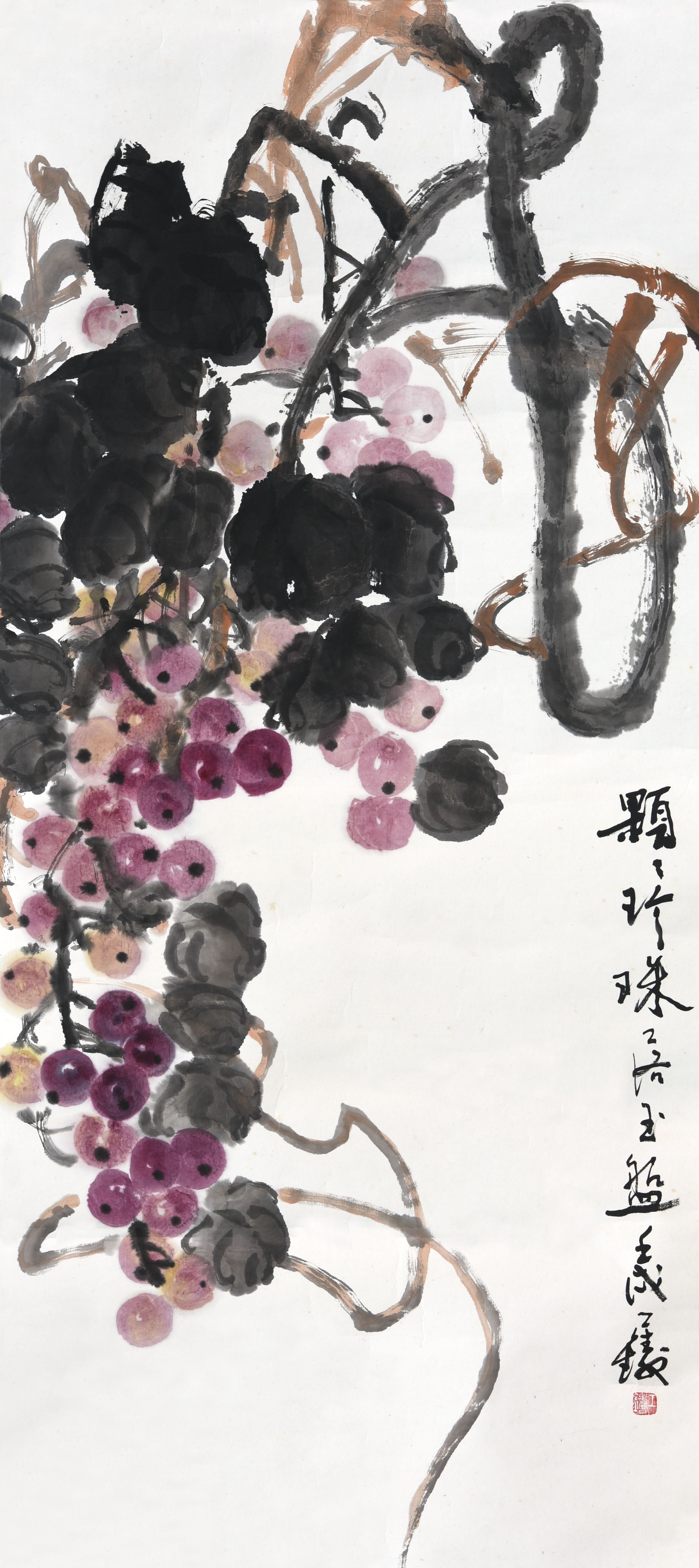 040 刘子铸 葡萄