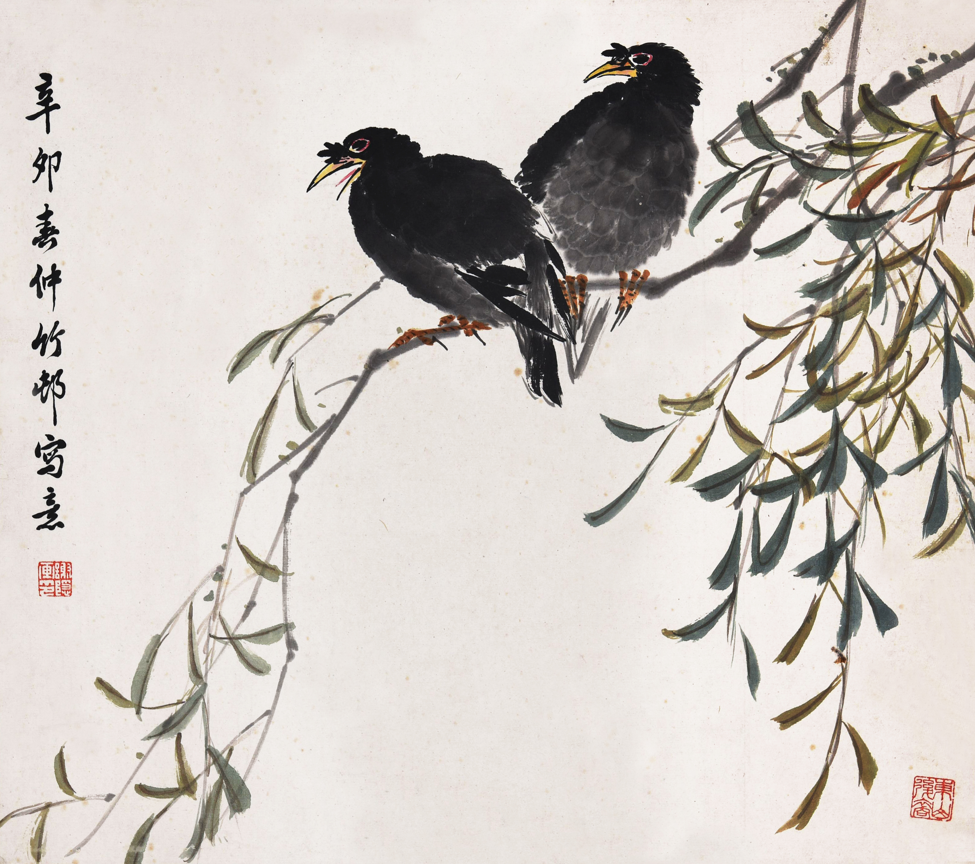 054 谢竹邨 春柳八哥