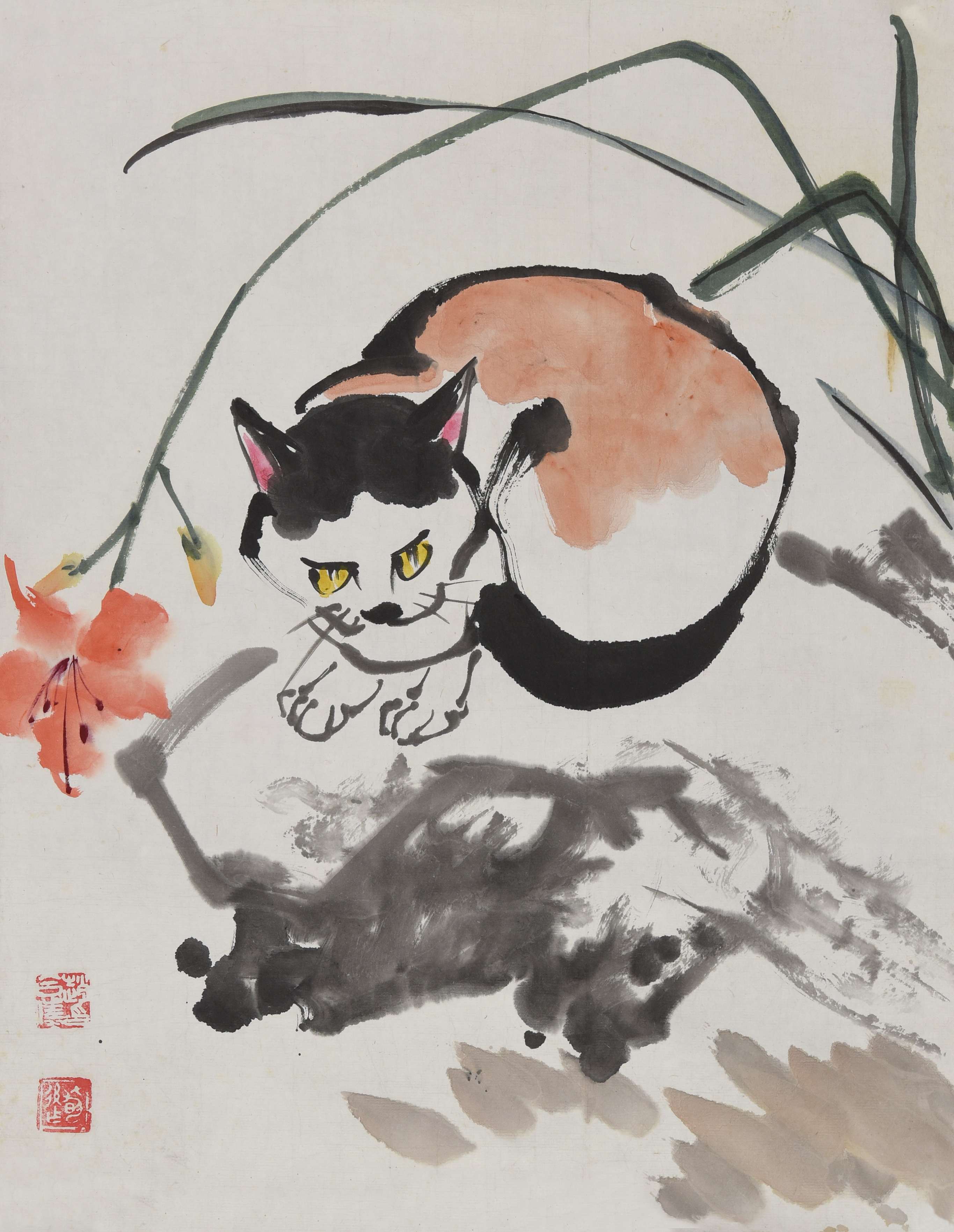 047 赵合俦 猫
