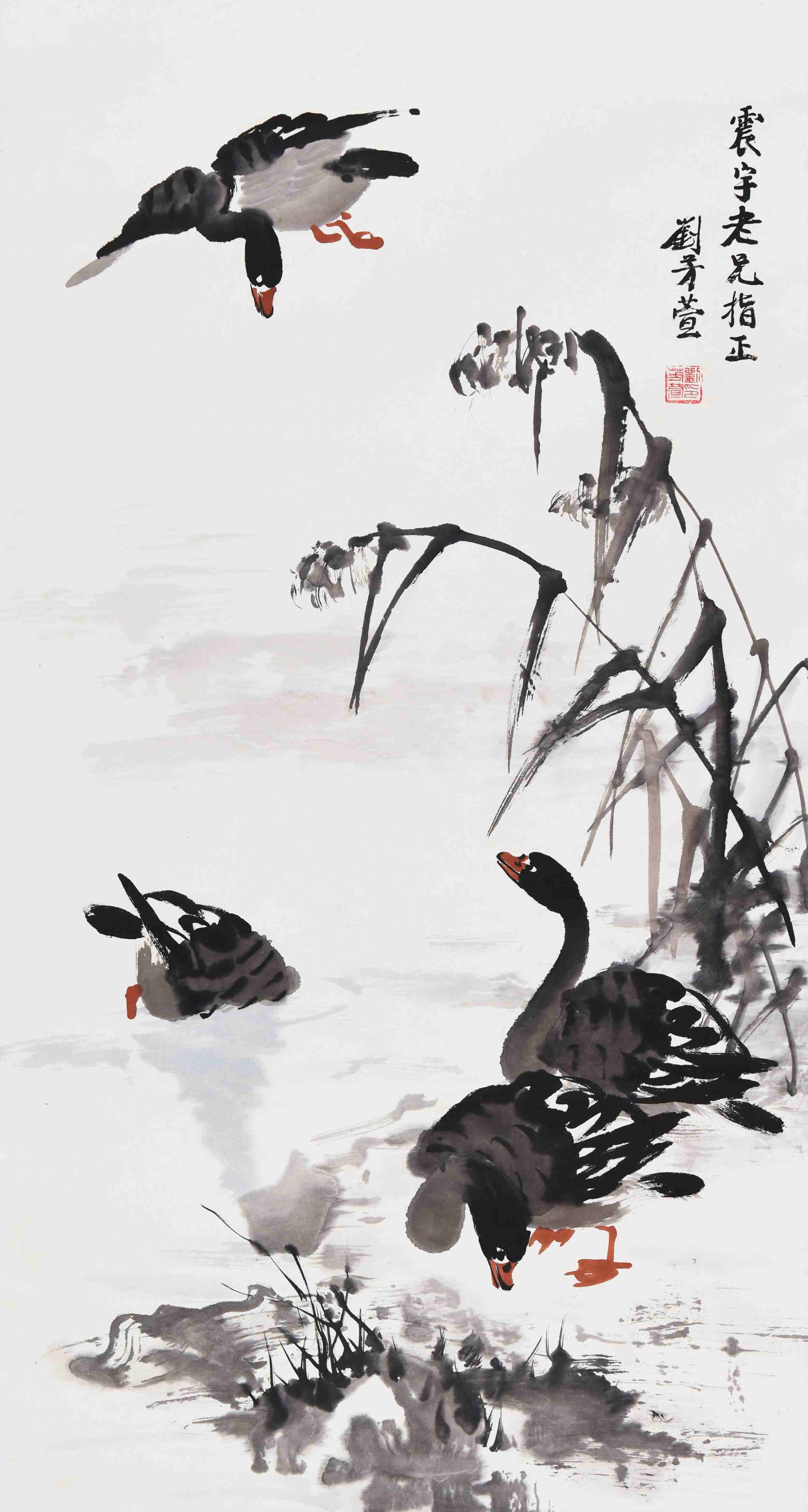 024 刘芳萱   芦雁图  